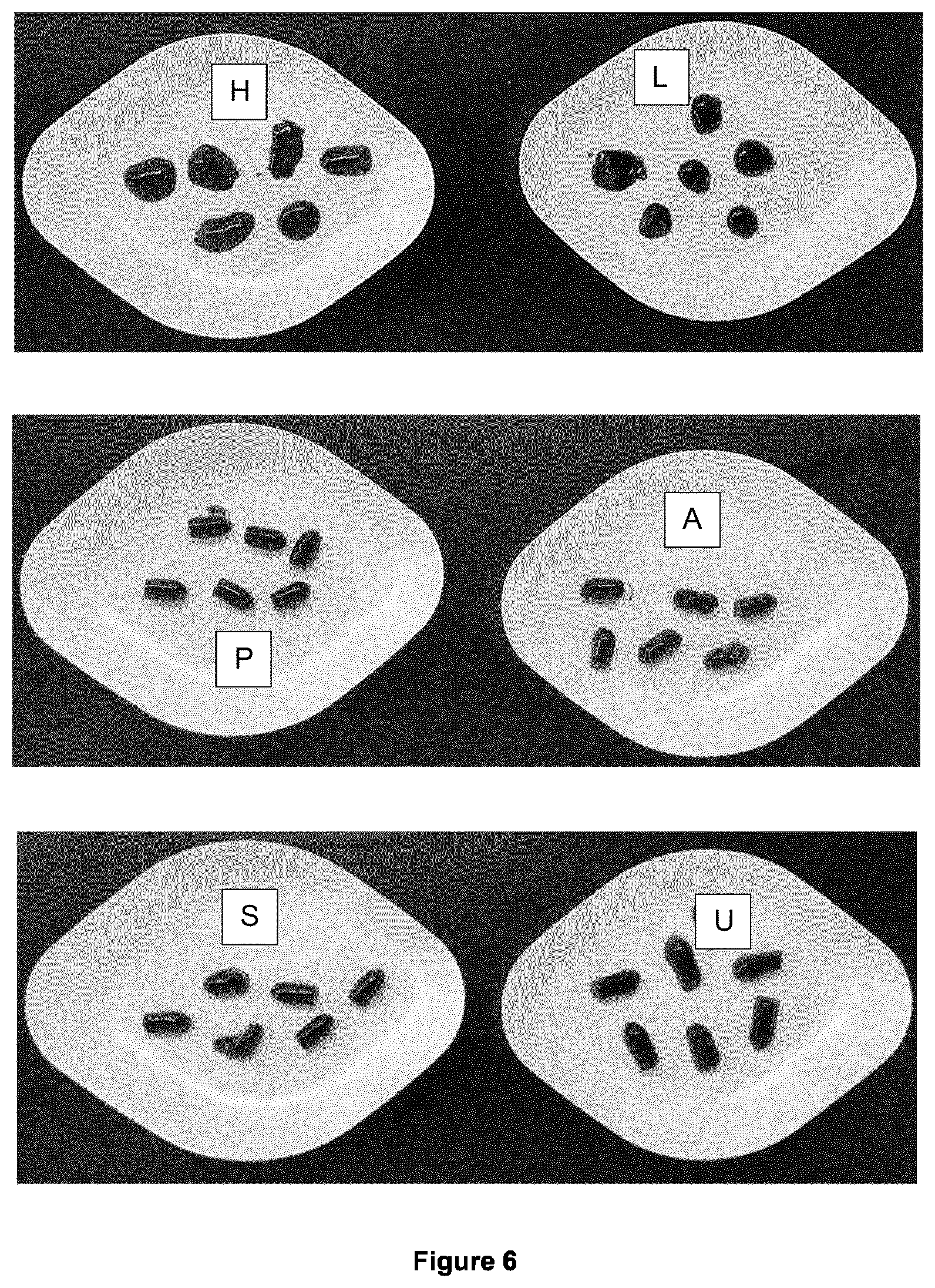 Patent US12599707 Figure 6 – Coating for medical devices