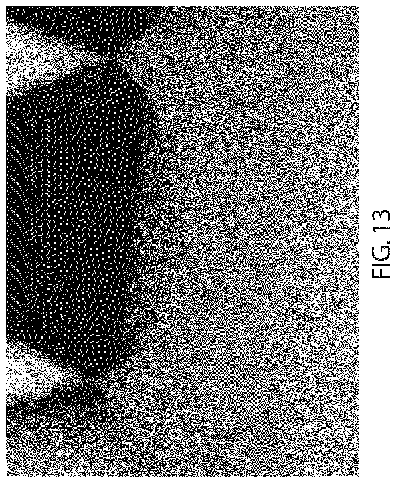 Patent US12599757 Figure 9 – Fabrication method for complex, re-entrant 3D microscale structures