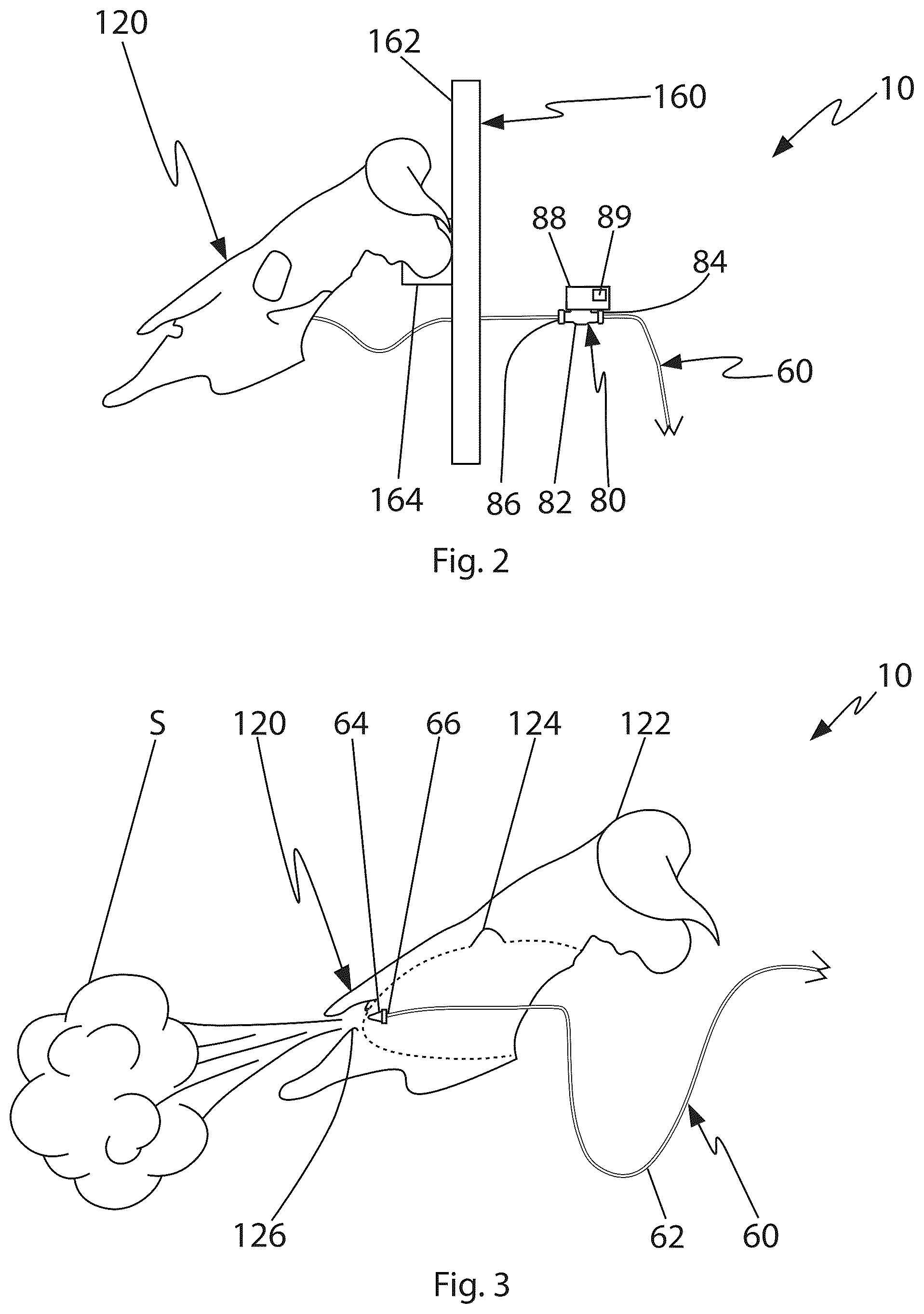 Patent US12599846 Figure 2 – Bull skull with smoke dispensing system