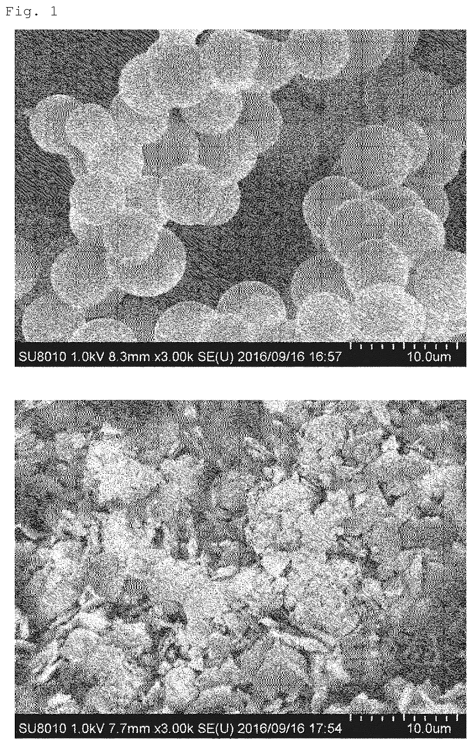 Patent US12599891 Figure 1 – Composite material, gas adsorbent, and method for producing composite material