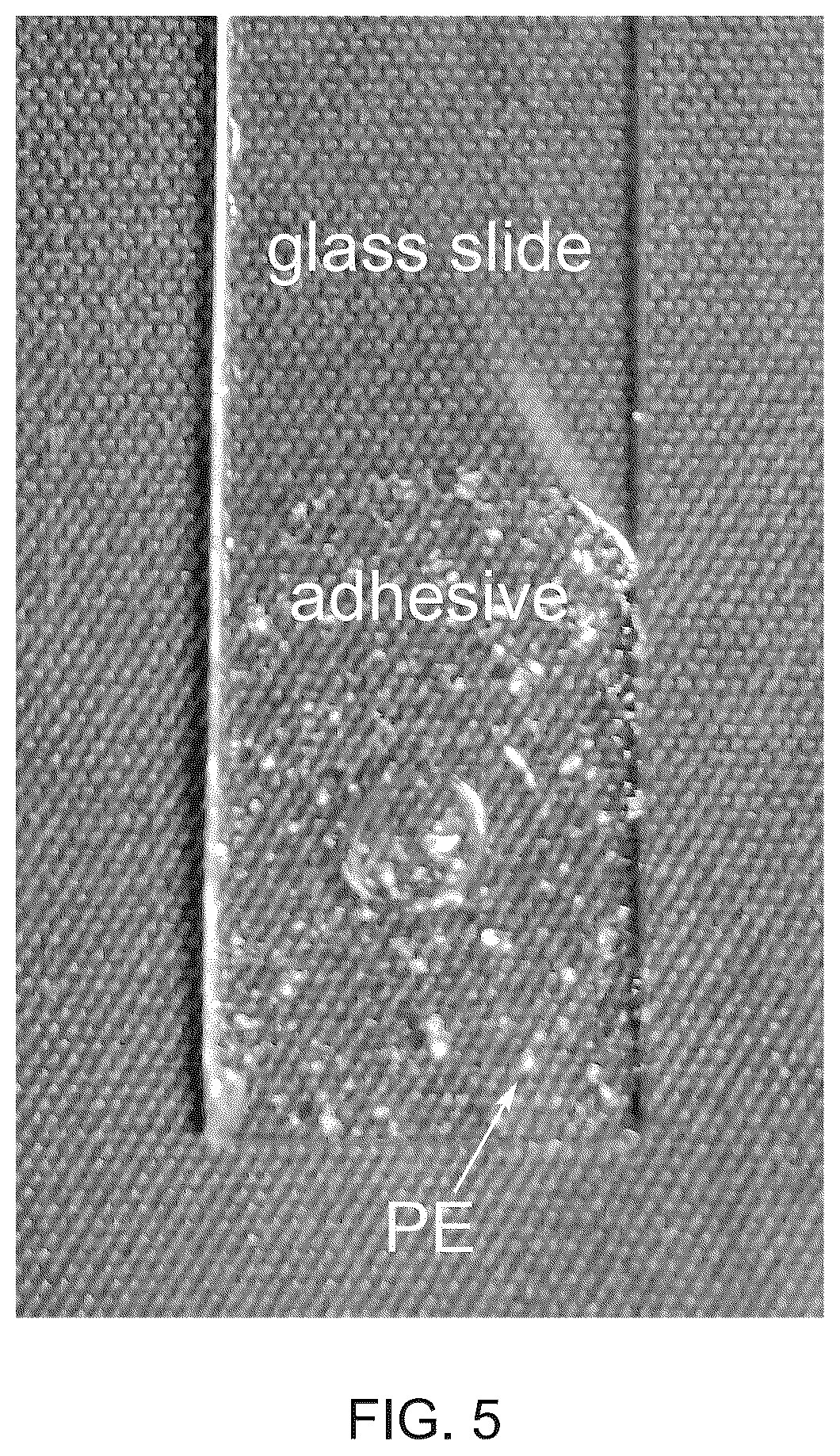 Patent US12599892 Figure 5 – Microplastic removal using adhesives