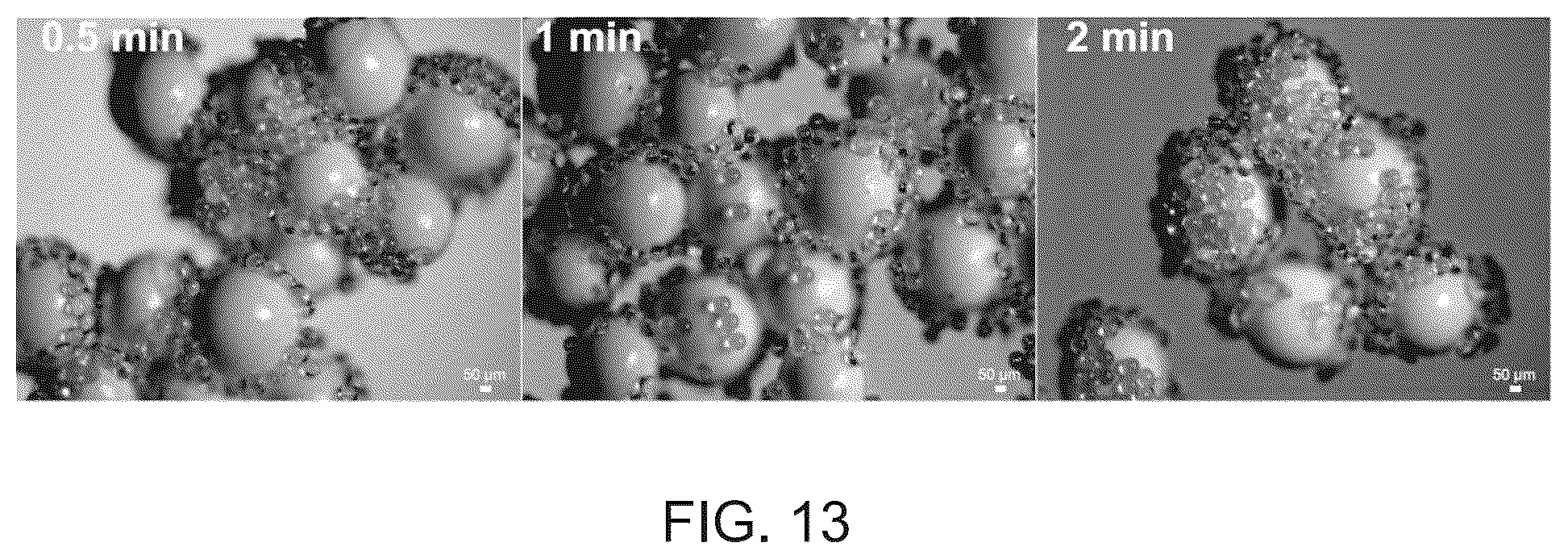Patent US12599892 Figure 13 – Microplastic removal using adhesives