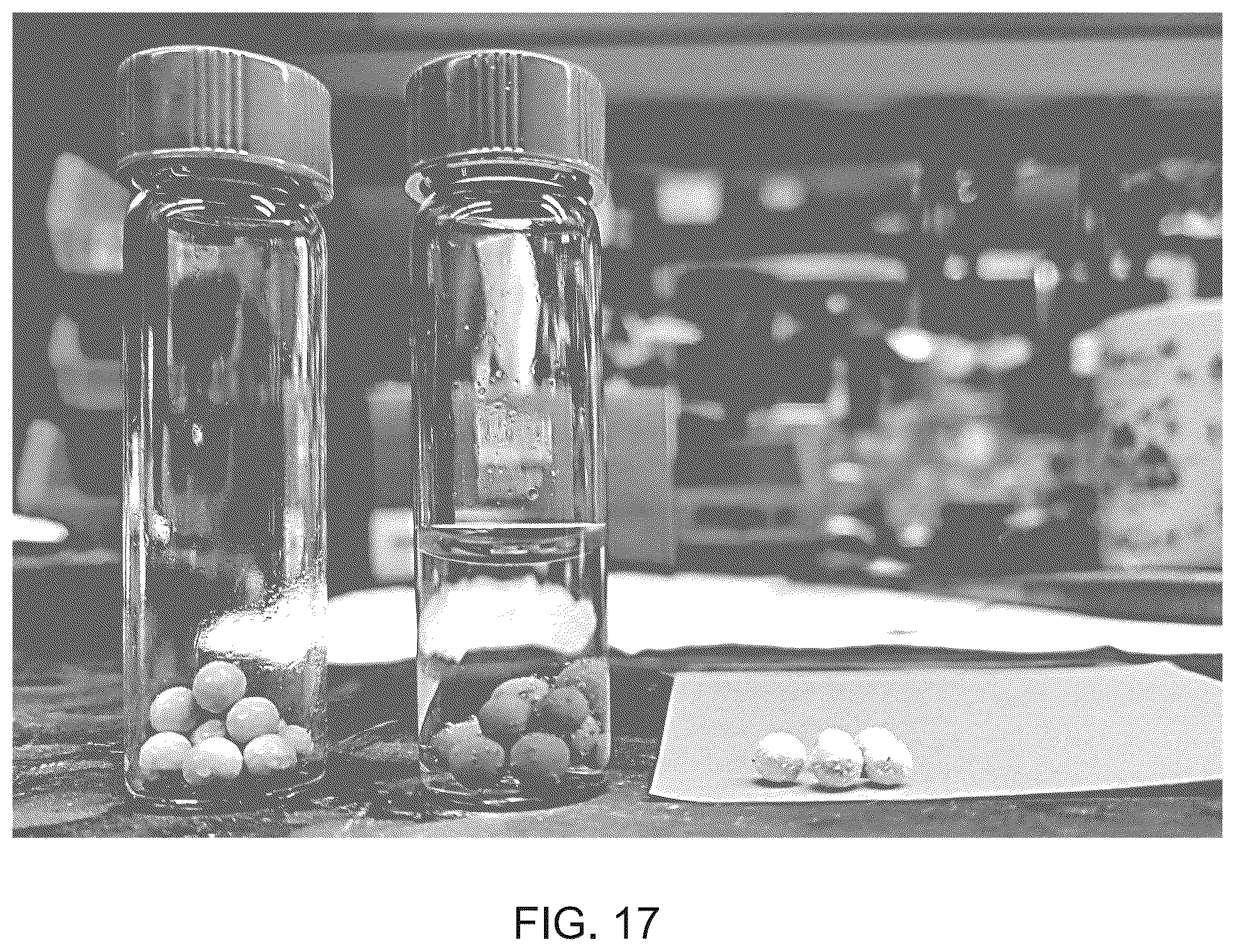 Patent US12599892 Figure 17 – Microplastic removal using adhesives