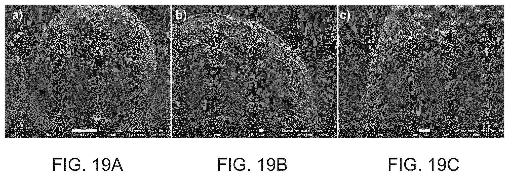 Patent US12599892 Figure 19 – Microplastic removal using adhesives