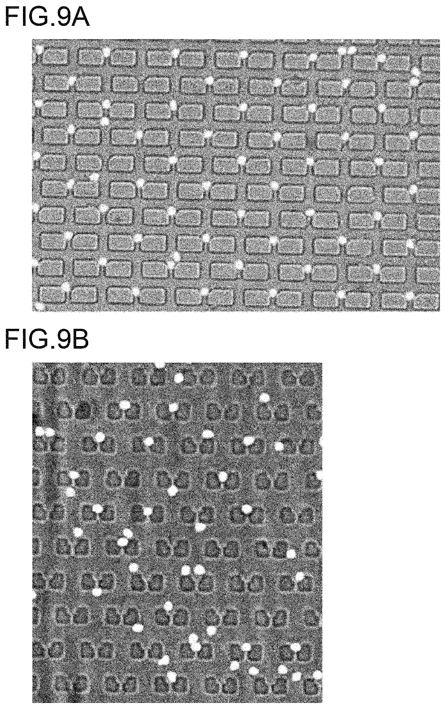 Patent US12599903 Figure 9 – Leukocyte trapping apparatus