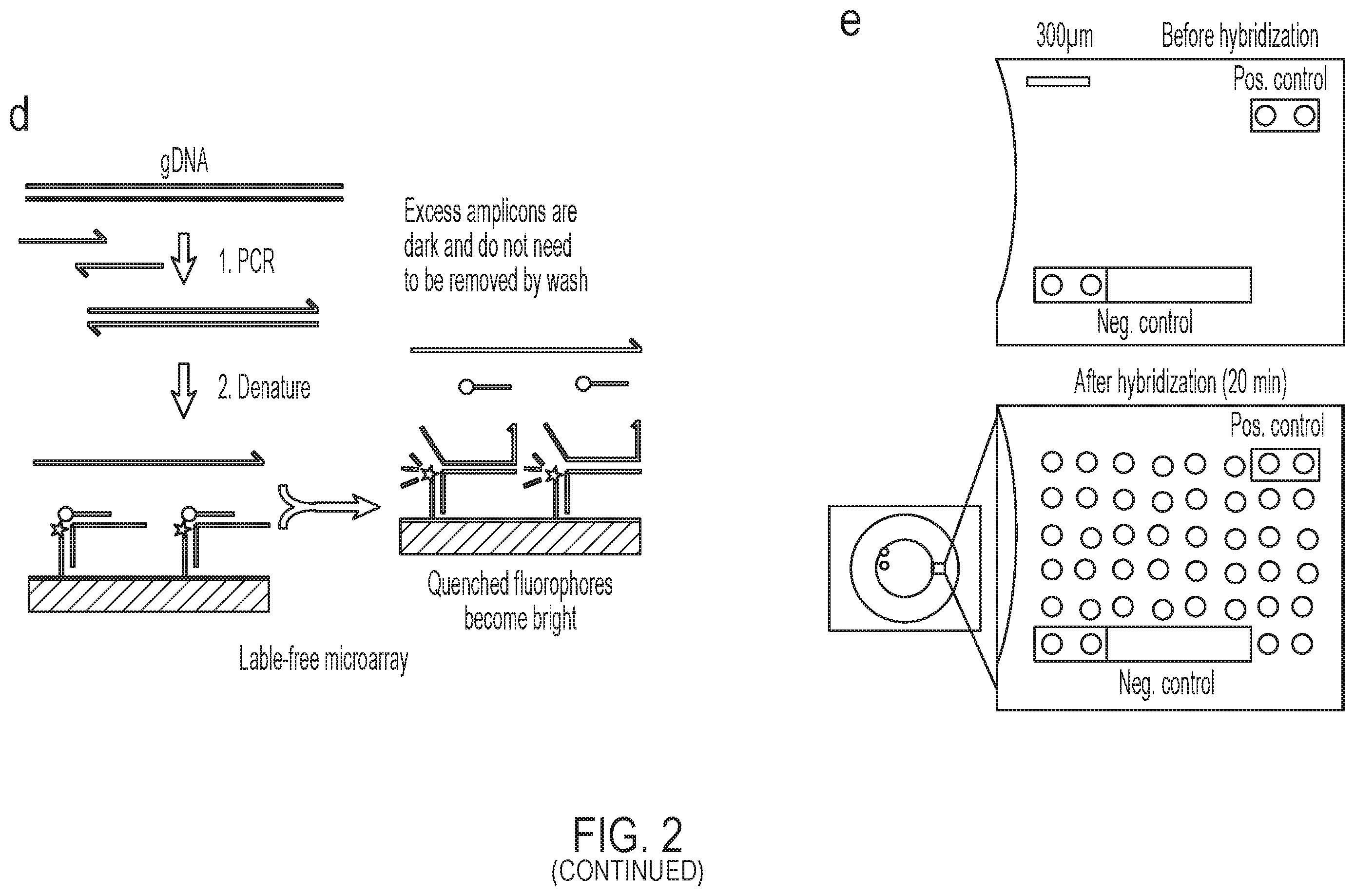 Patent US12599908 Figure 3 – Apparatus and methods for multiplexed amplification and detection of DNA using convectional heating and label-free microarray