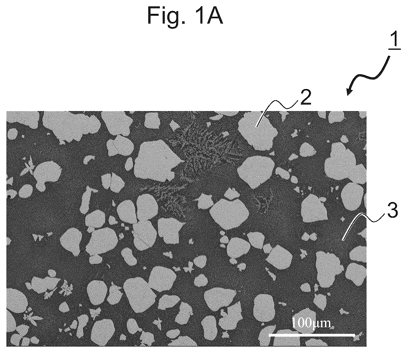 Patent US12599958 Figure 1 – Composite material, manufacturing method for composite material, and mold