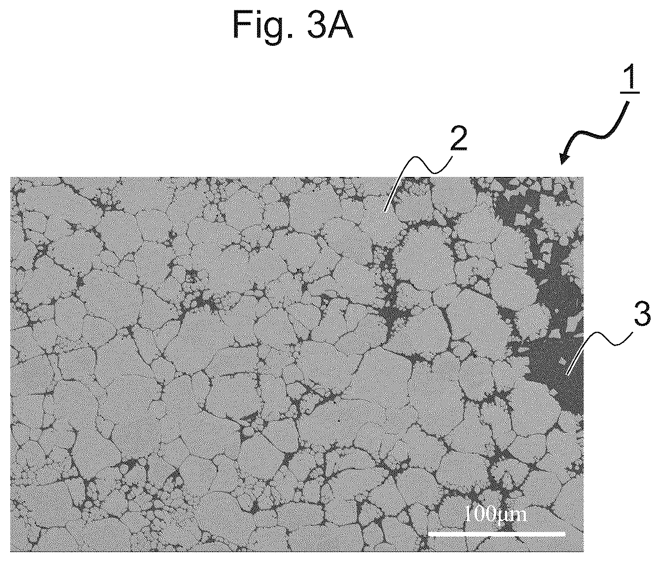 Patent US12599958 Figure 5 – Composite material, manufacturing method for composite material, and mold