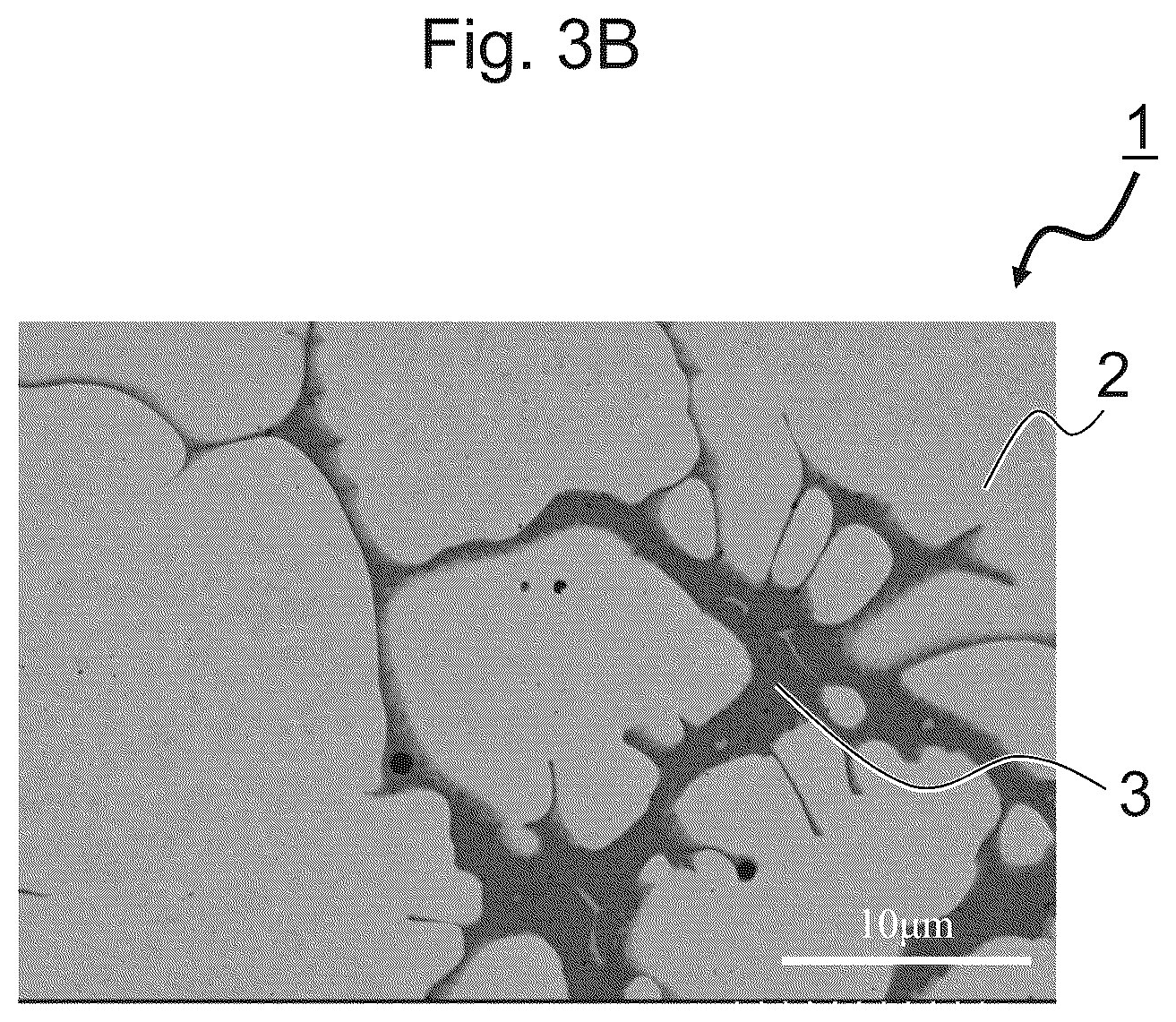 Patent US12599958 Figure 6 – Composite material, manufacturing method for composite material, and mold