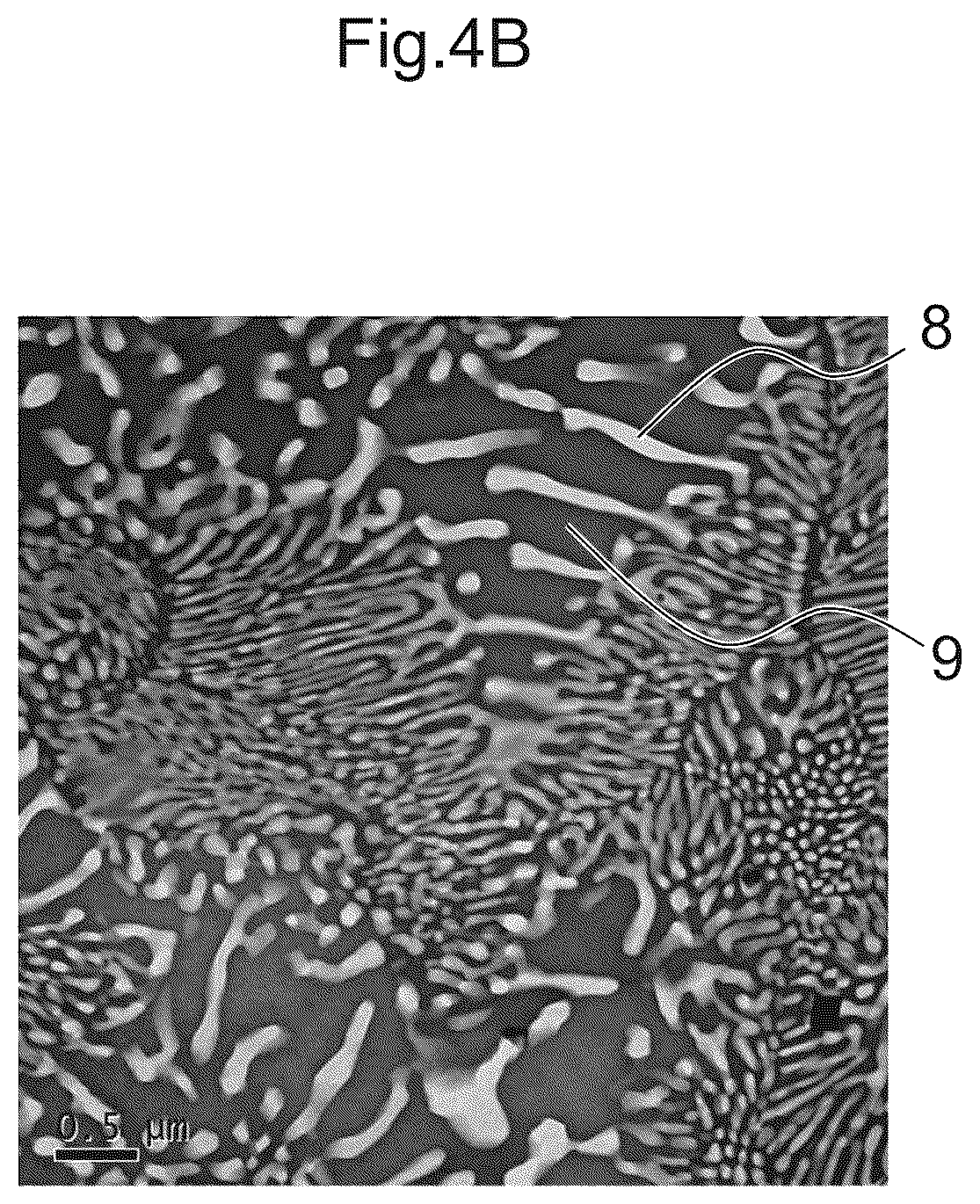 Patent US12599958 Figure 8 – Composite material, manufacturing method for composite material, and mold