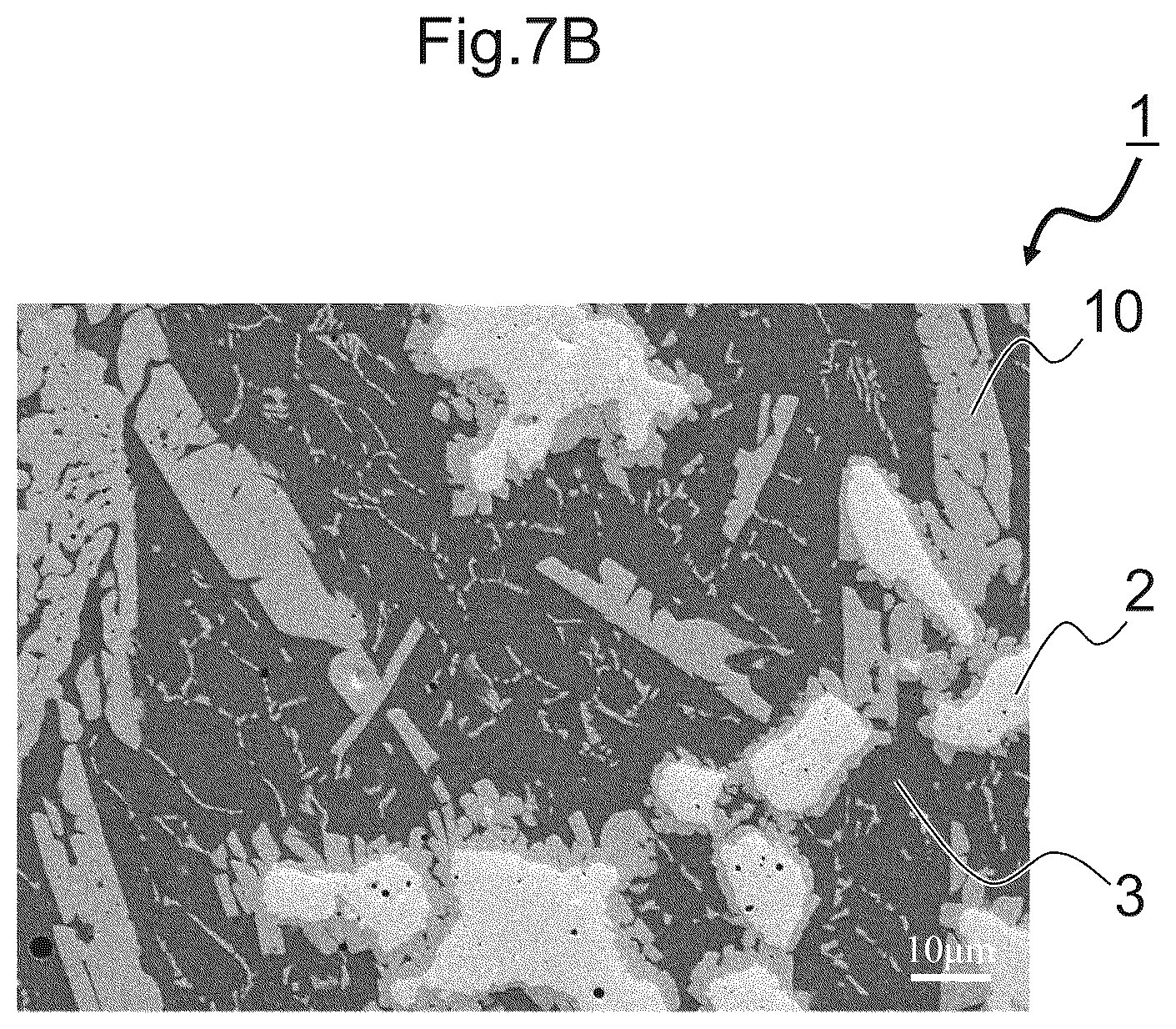 Patent US12599958 Figure 15 – Composite material, manufacturing method for composite material, and mold