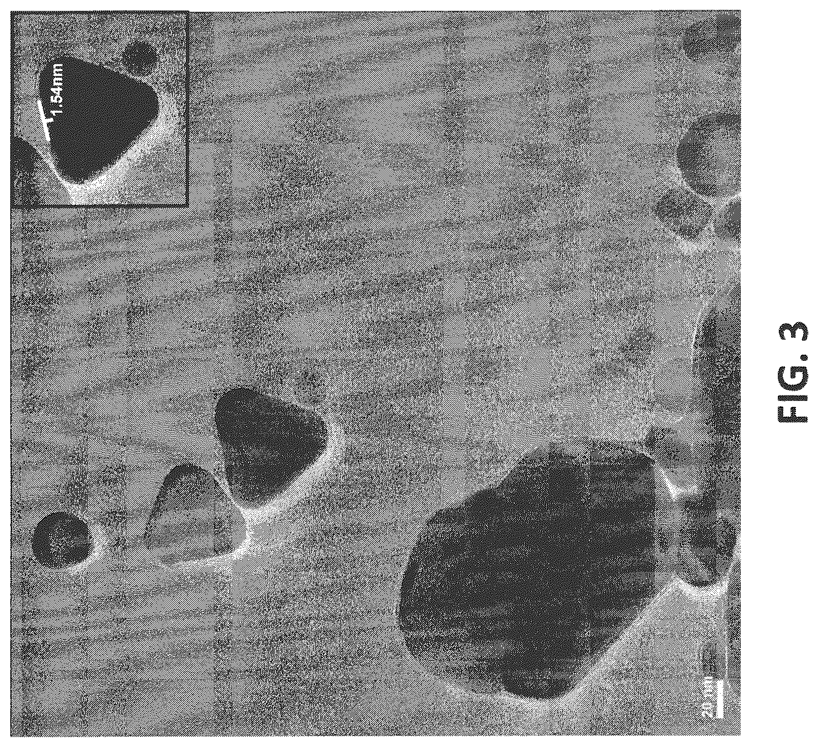 Patent US12599965 Figure 3 – Nanometric copper formulations