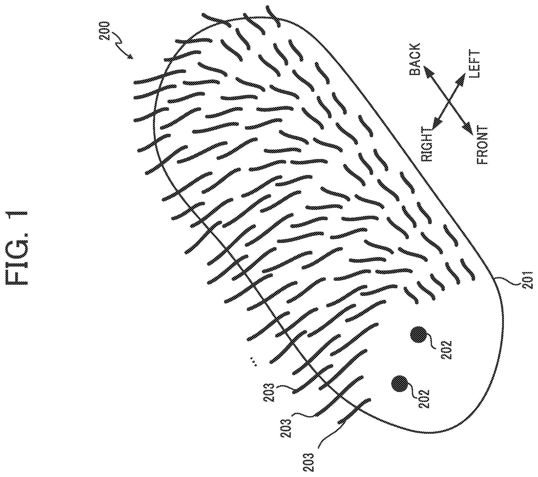Patent US12602059 Figure 1 – Robot, control method for robot, and recording medium
