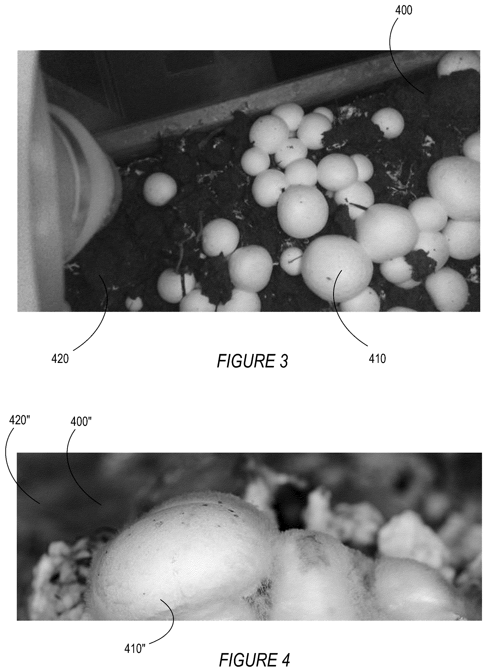 Patent US12602520 Figure 3 – Machine-learning virtualization-enabled harvesting