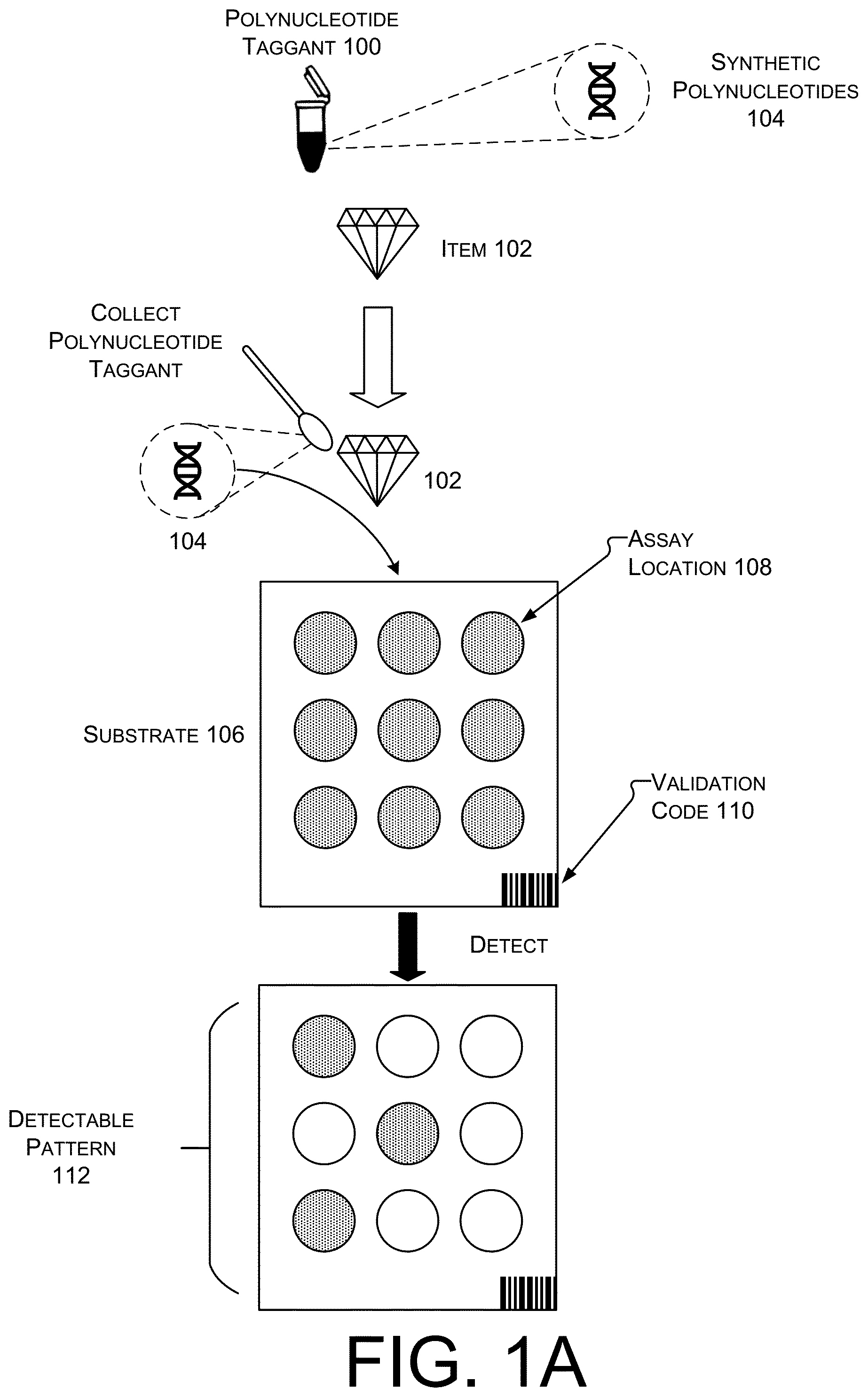 Patent US12602559 Figure 1 – Anti-counterfeit polynucleotide taggants