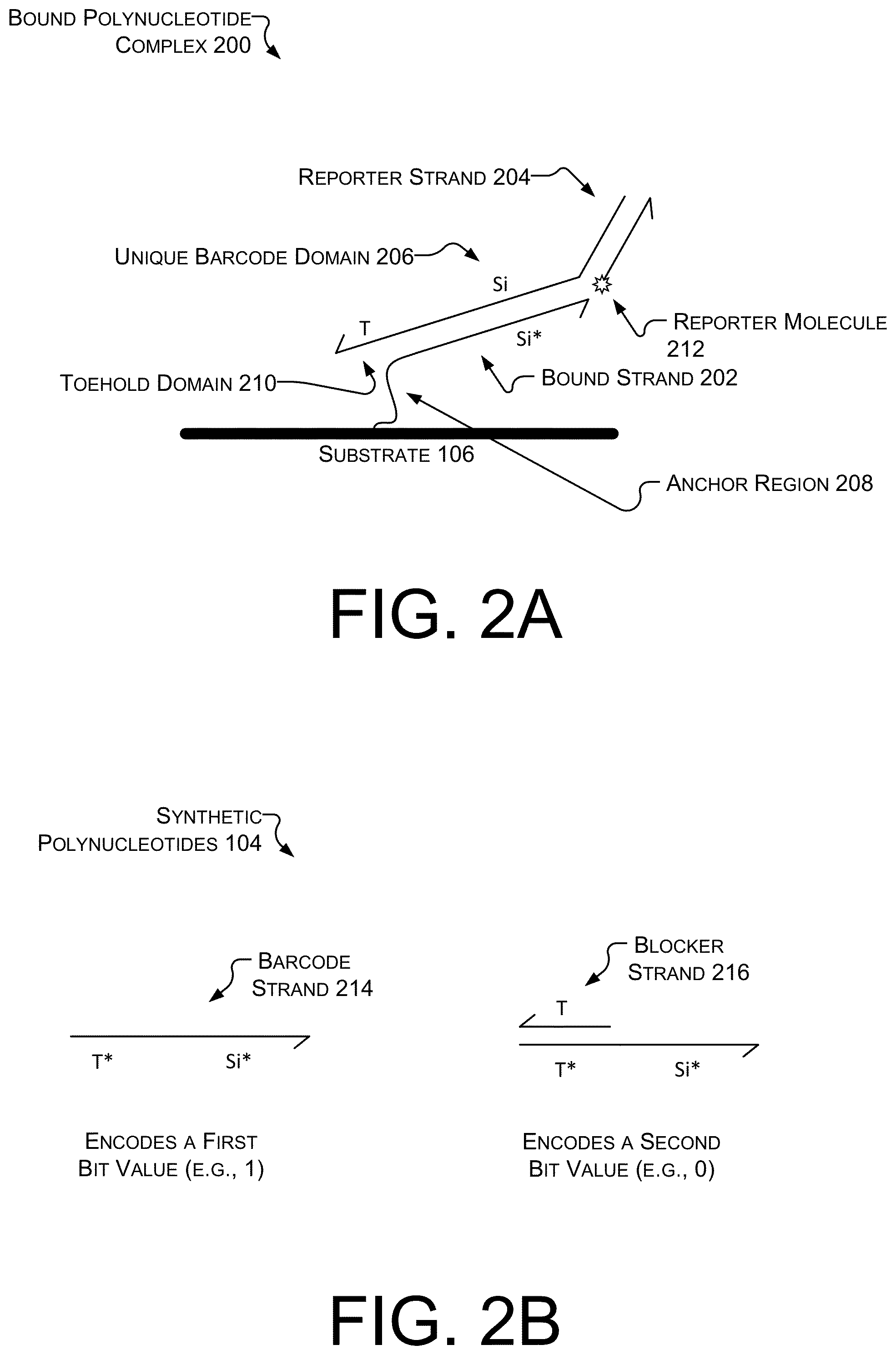 Patent US12602559 Figure 3 – Anti-counterfeit polynucleotide taggants