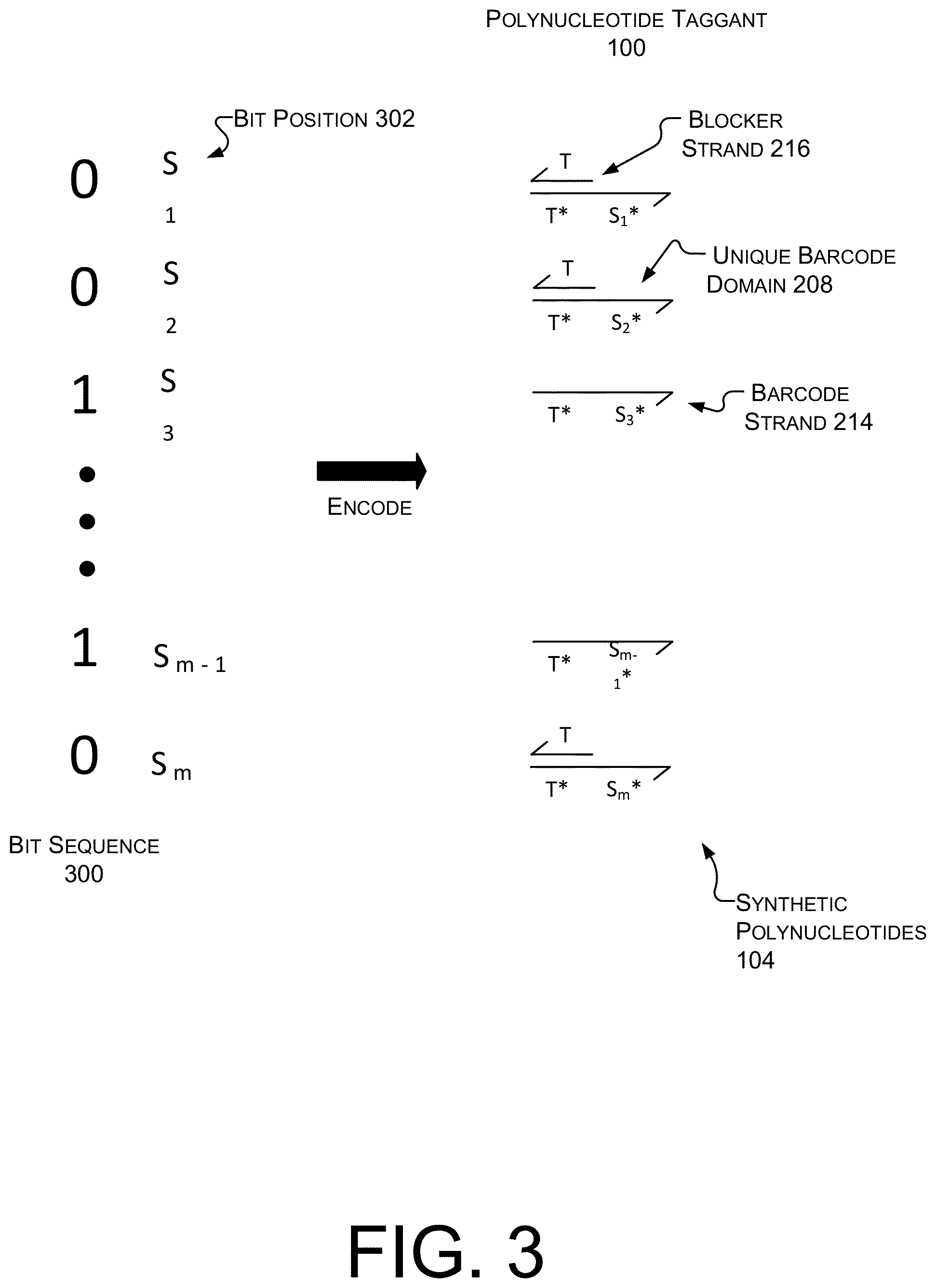 Patent US12602559 Figure 4 – Anti-counterfeit polynucleotide taggants