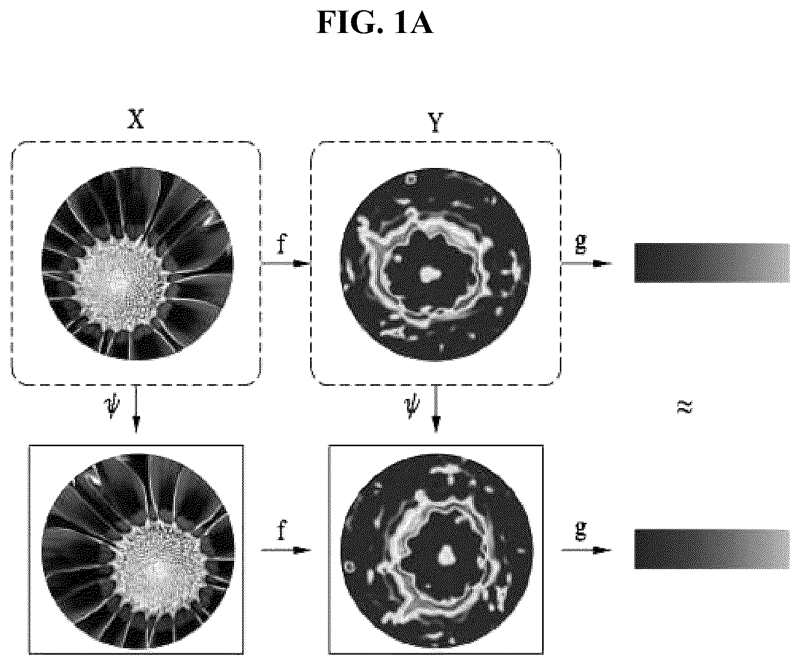 Patent US12602584 Figure 1 – Method and apparatus for learning equivariant and invariant representation for rotation of image based on graph convolutional network
