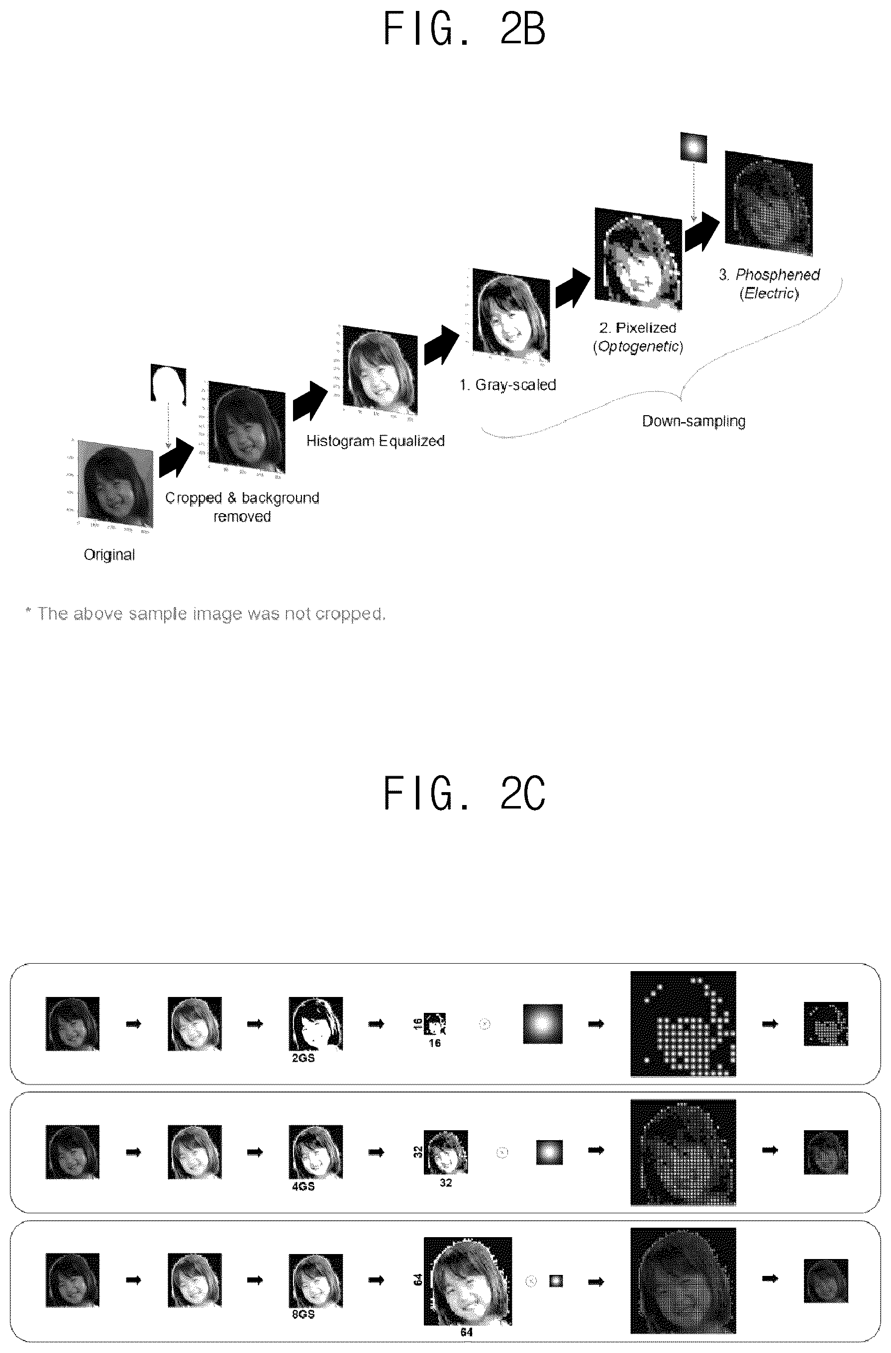Patent US12602618 Figure 2 – Artificial vision parameter learning and automating method for improving visual prosthetic systems