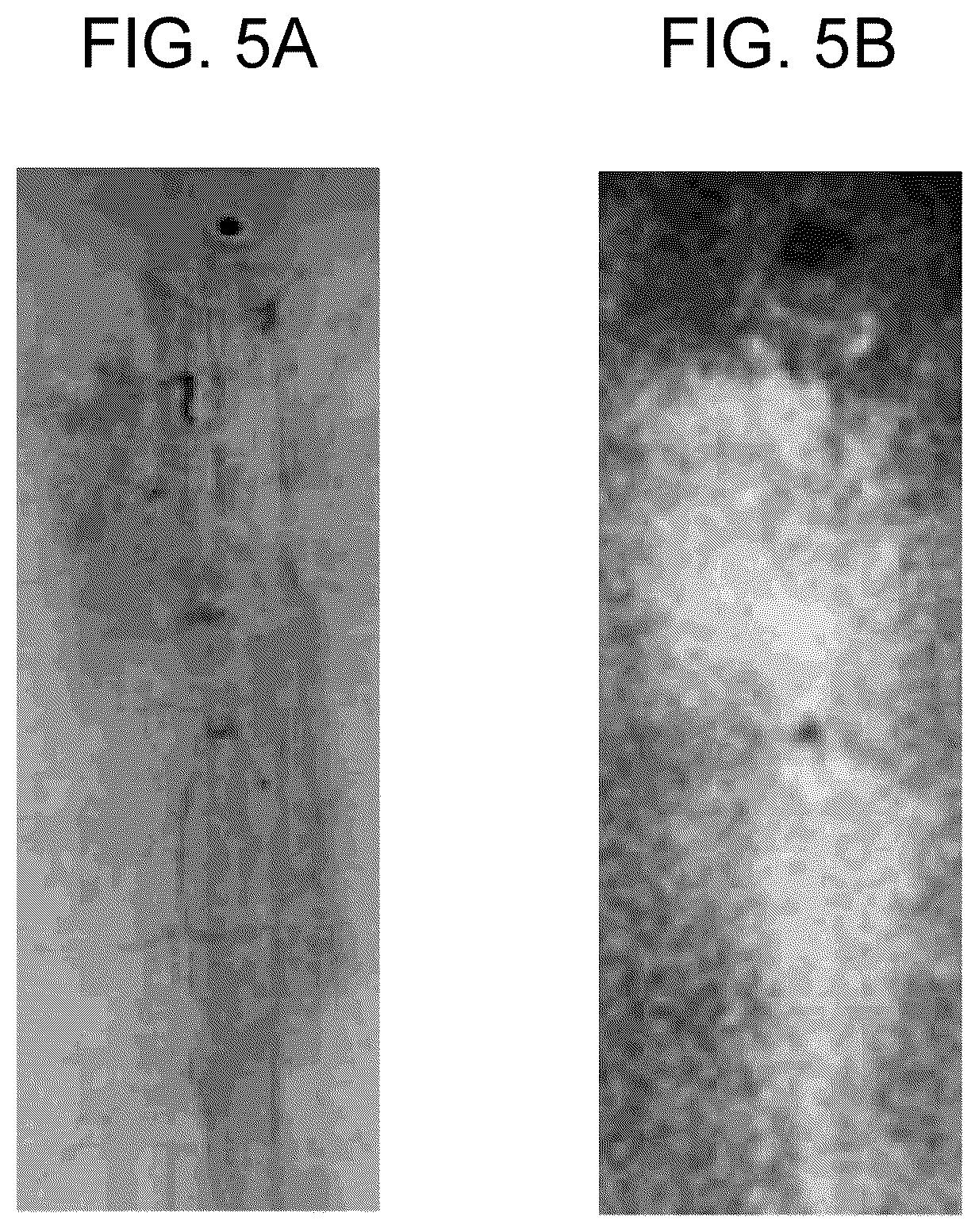 Patent US12602761 Figure 5 – Image analysis apparatus, image analysis method, and program