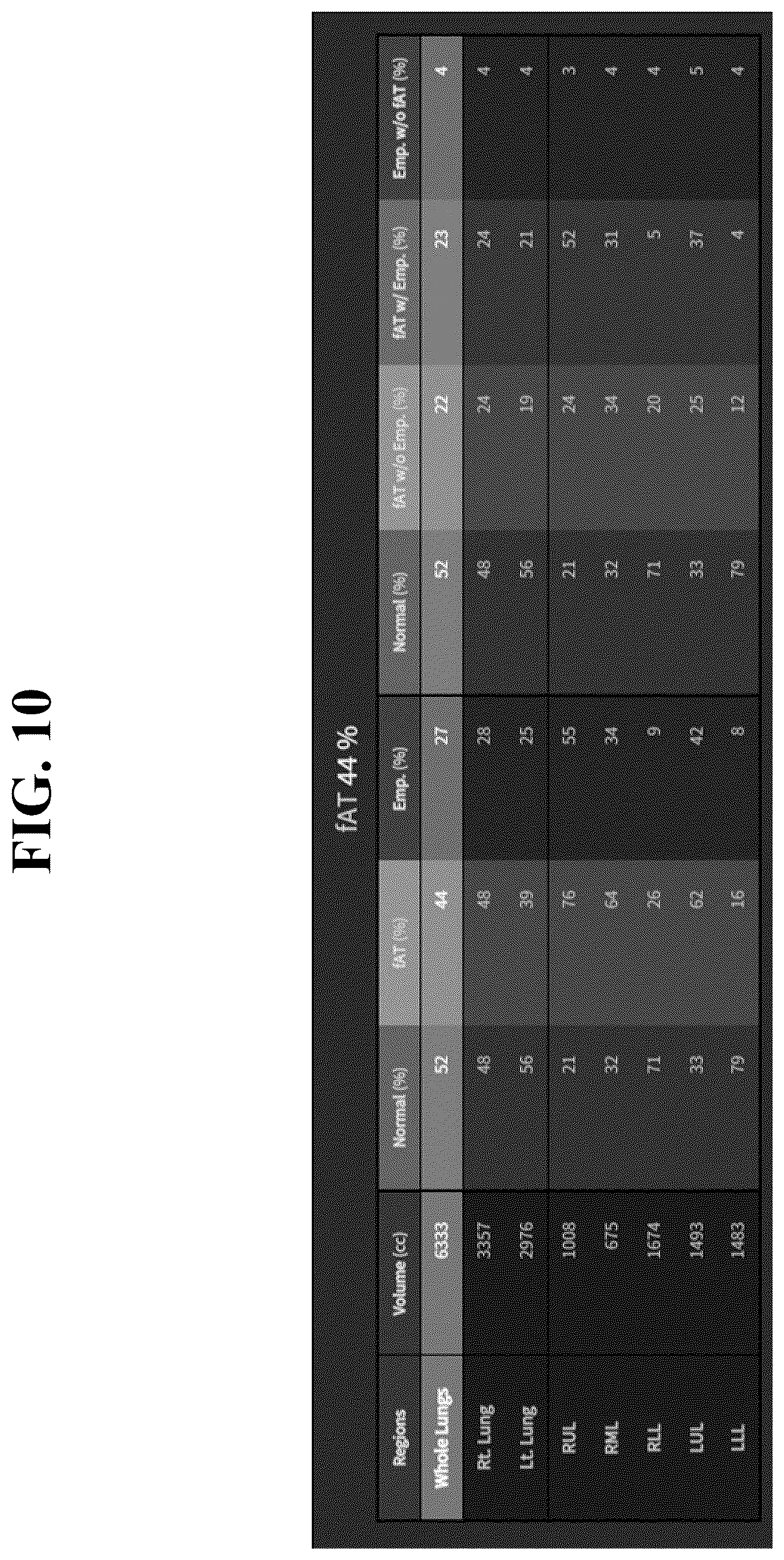 Patent US12602777 Figure 10 – Apparatus and method for quantitative assessment of medical images for diagnosis of chronic obstructive pulmonary disease
