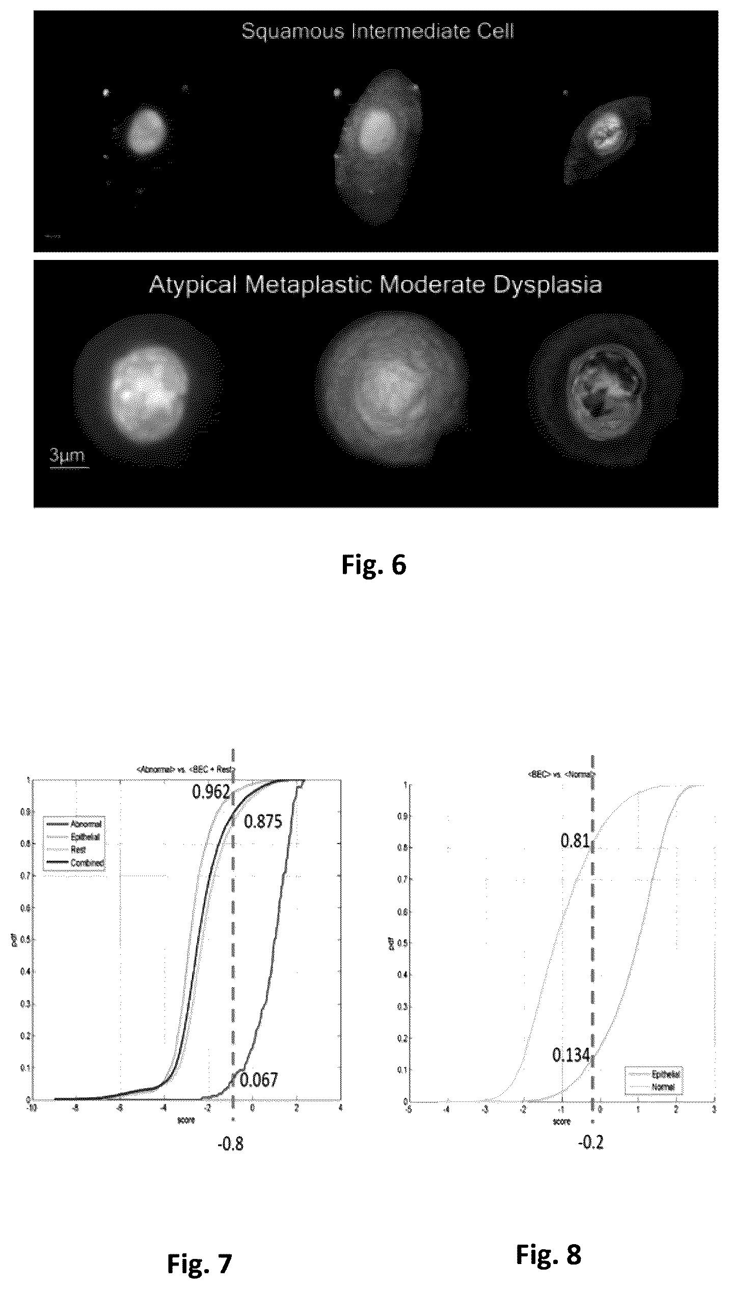 Patent US12602781 Figure 6 – AI-based cell classification method and system