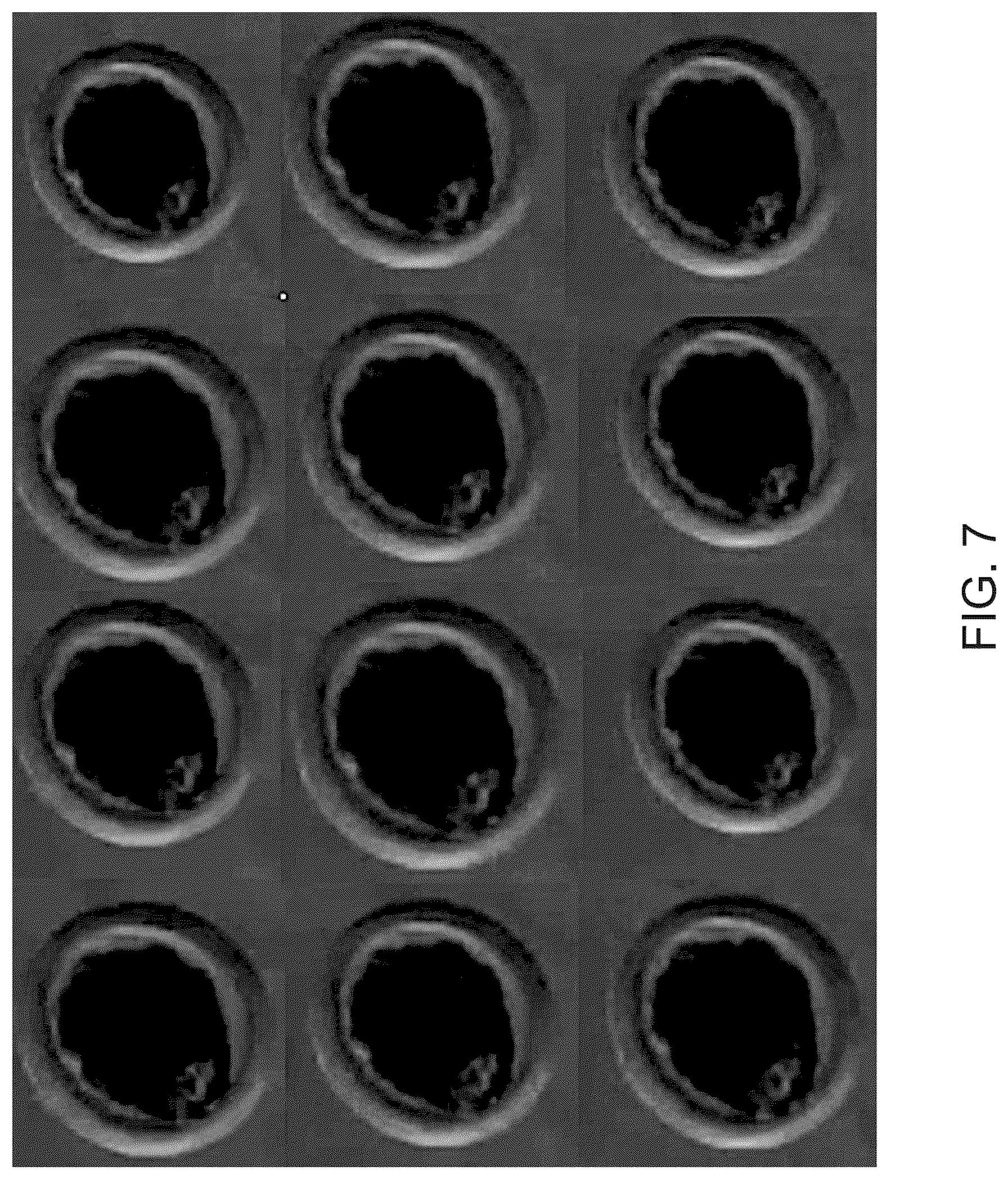 Patent US12602785 Figure 6 – Training a machine learning model to assess embryo characteristics from video image data