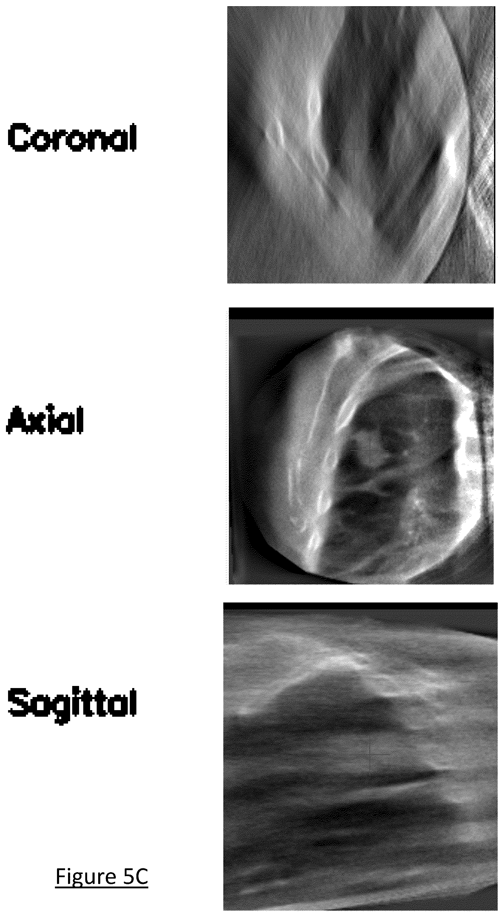 Patent US12602854 Figure 10 – System and method for medical imaging