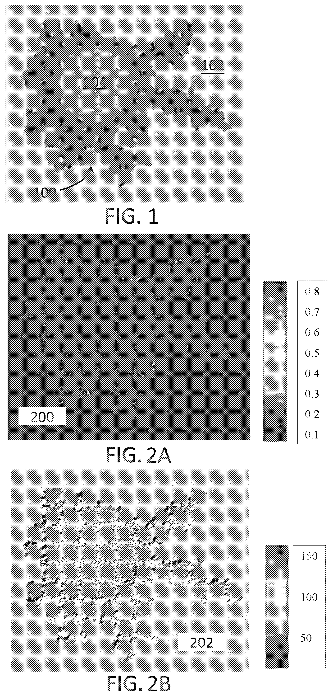 Patent US12602944 Figure 1 – Authentication of dendritic structures