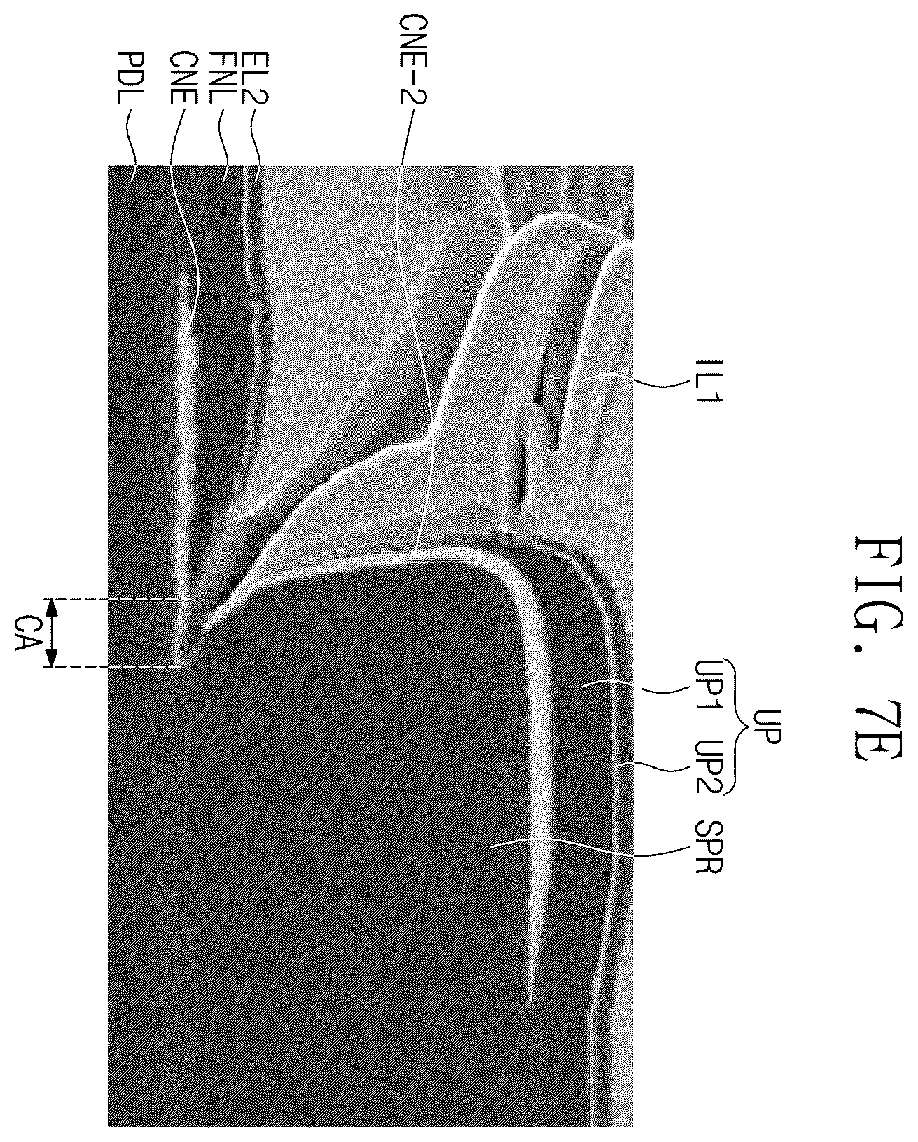 Patent US12603043 Figure 17 – Display panel having a plurality of light-emitting elements with separators