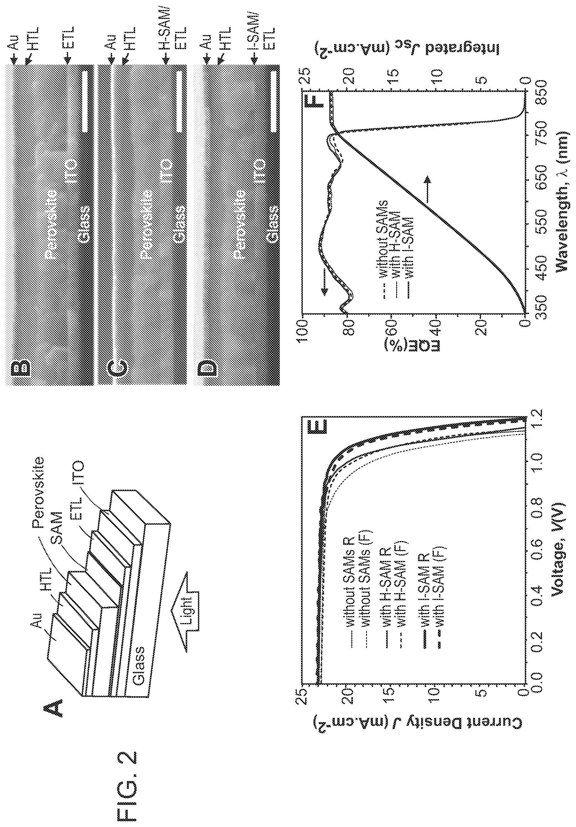 Patent US12610733 Figure 2 – Perovskite solar cells with self assembled monolayers