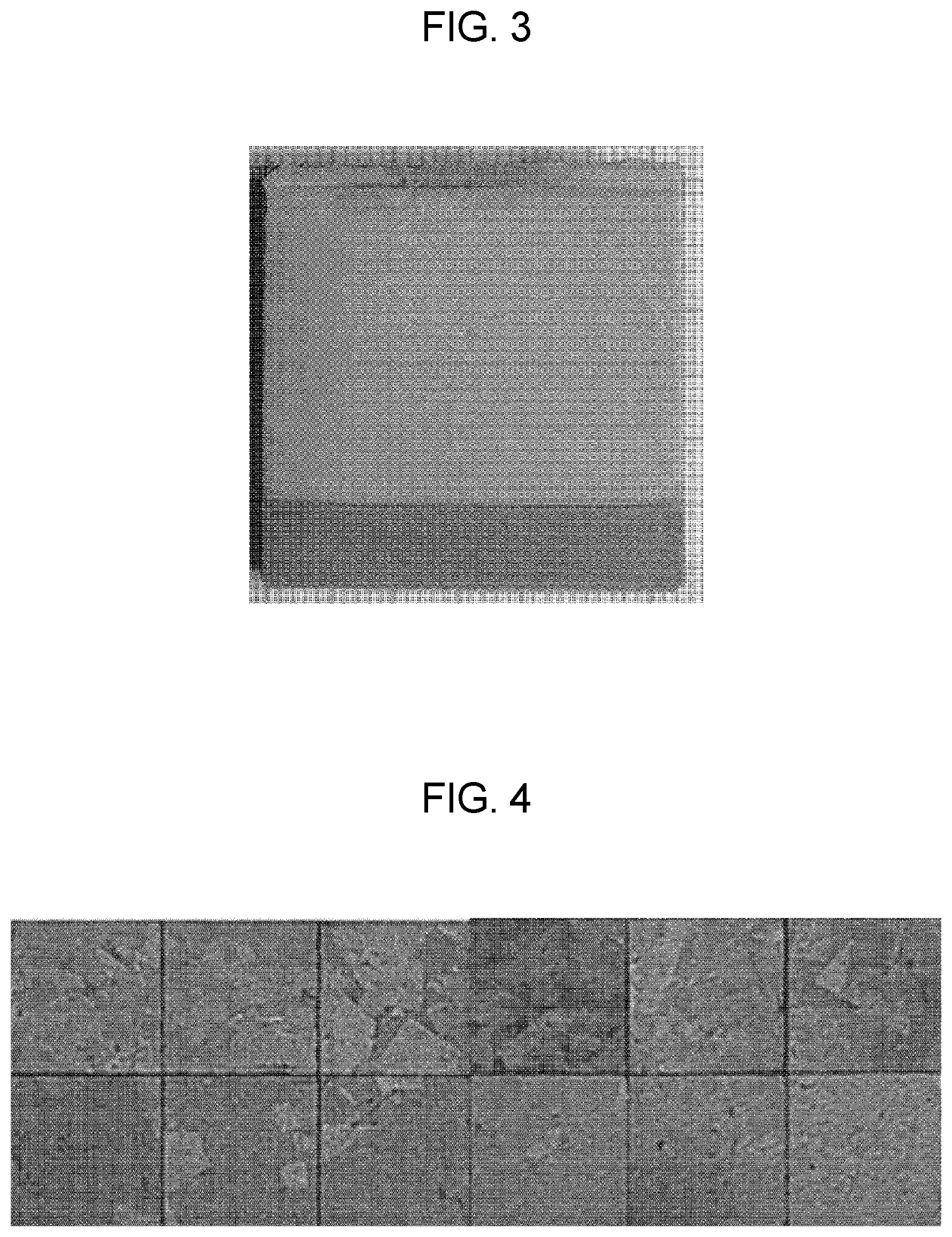 Patent US12610746 Figure 2 – Piezoelectric single crystal-polycrystalline ceramic composite, preparation method therefor, and piezoelectric and dielectric application components using same