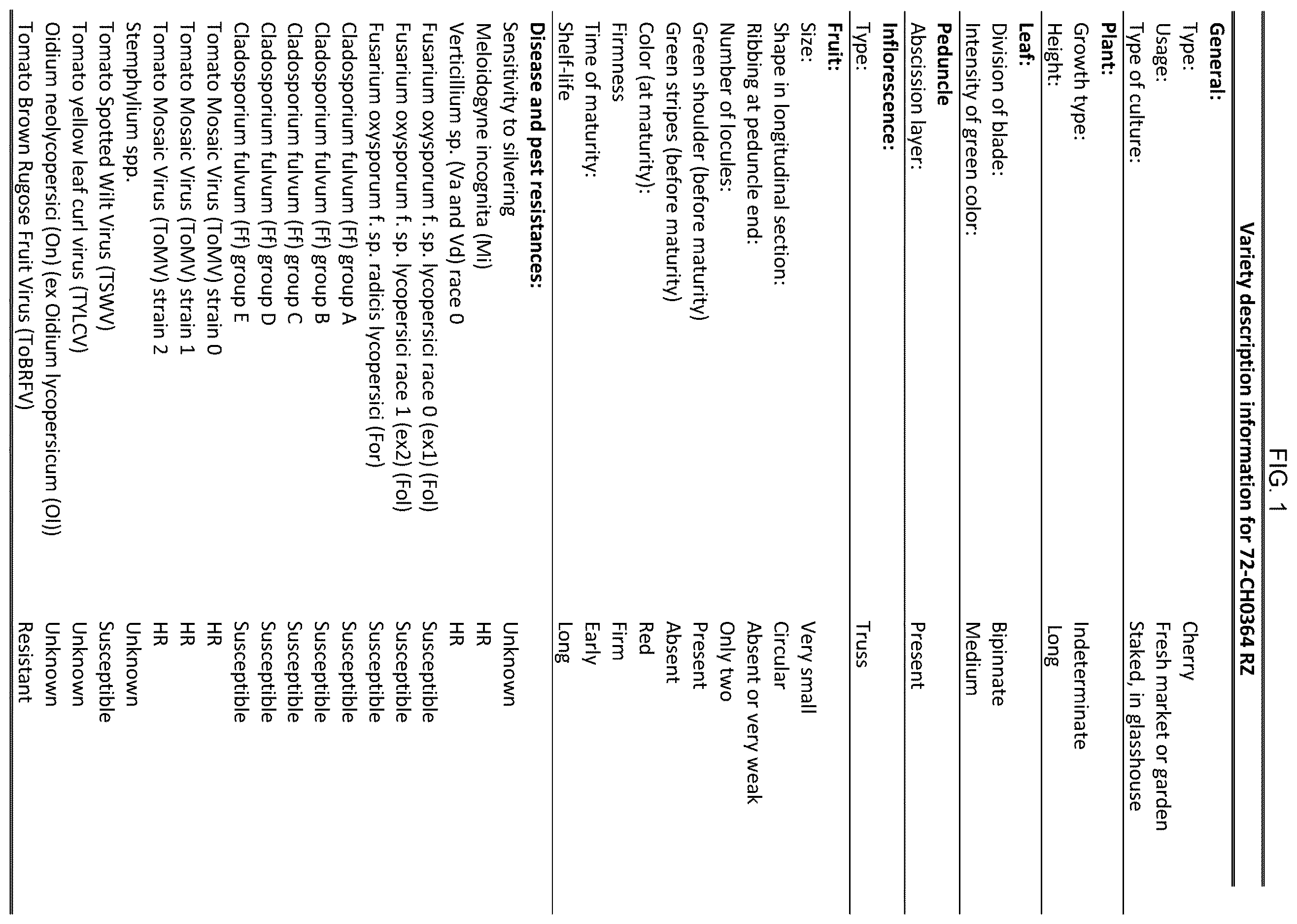 Patent US12610920 Figure 1 – Hybrid tomato variety 72-CH0364 RZ
