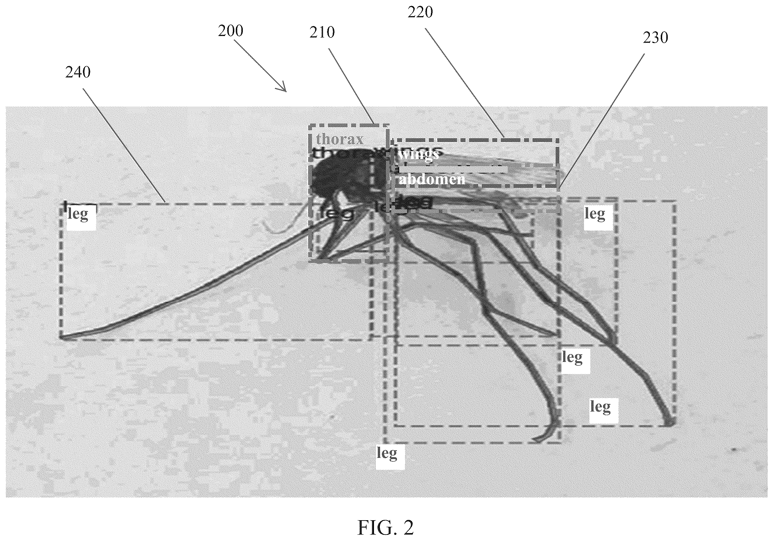 Patent US12610935 Figure 2 – Smart mosquito trap for mosquito classification