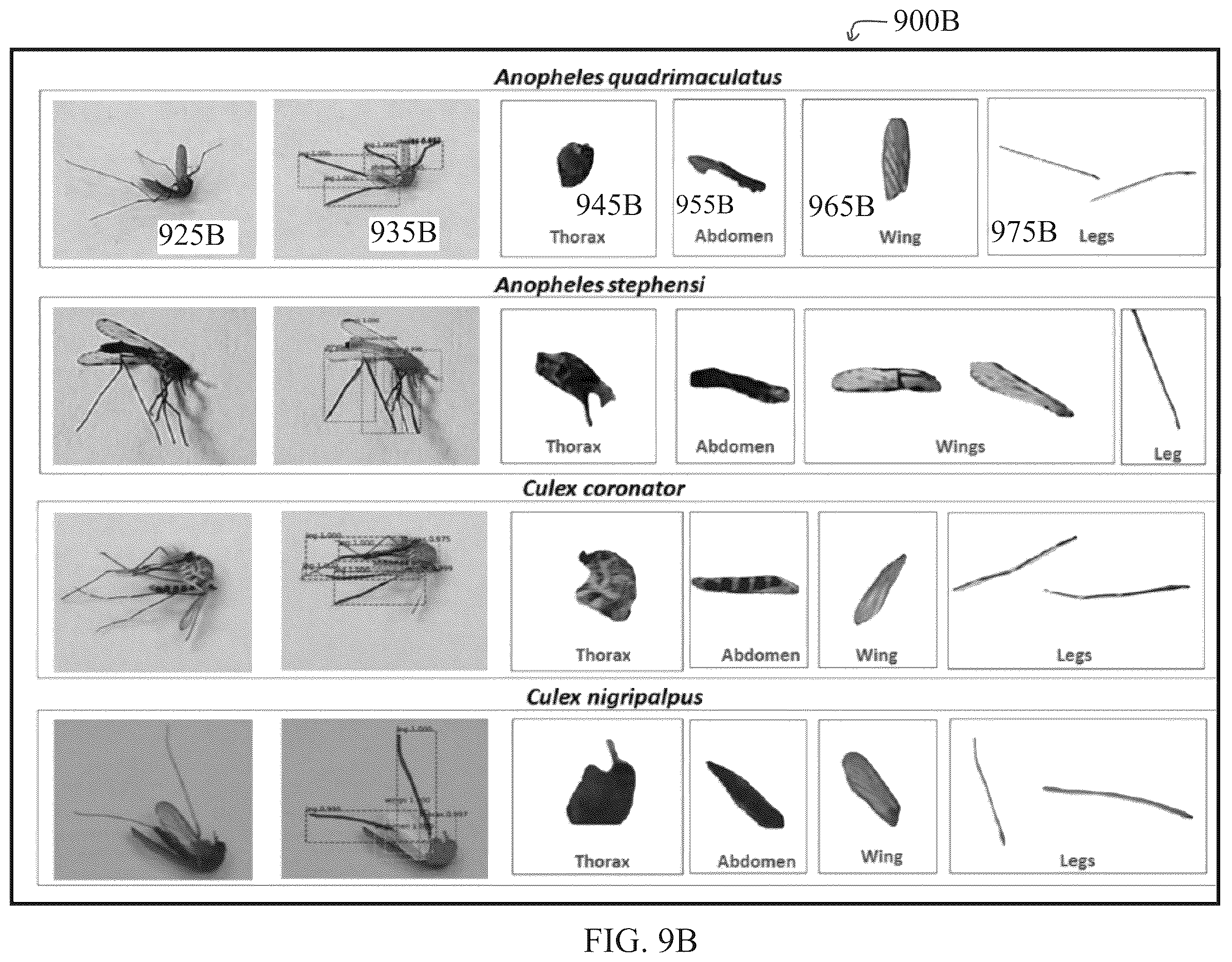 Patent US12610935 Figure 10 – Smart mosquito trap for mosquito classification