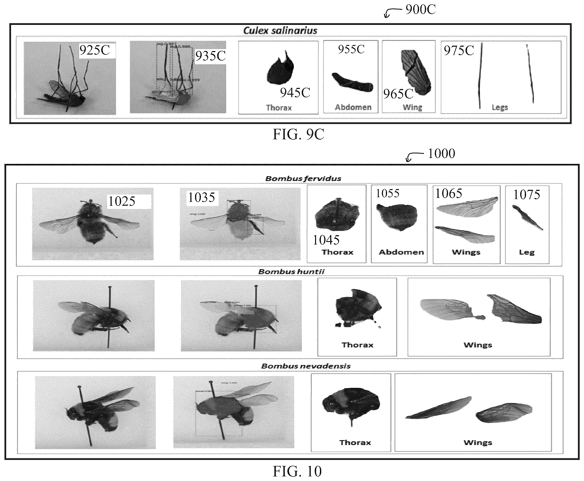 Patent US12610935 Figure 11 – Smart mosquito trap for mosquito classification
