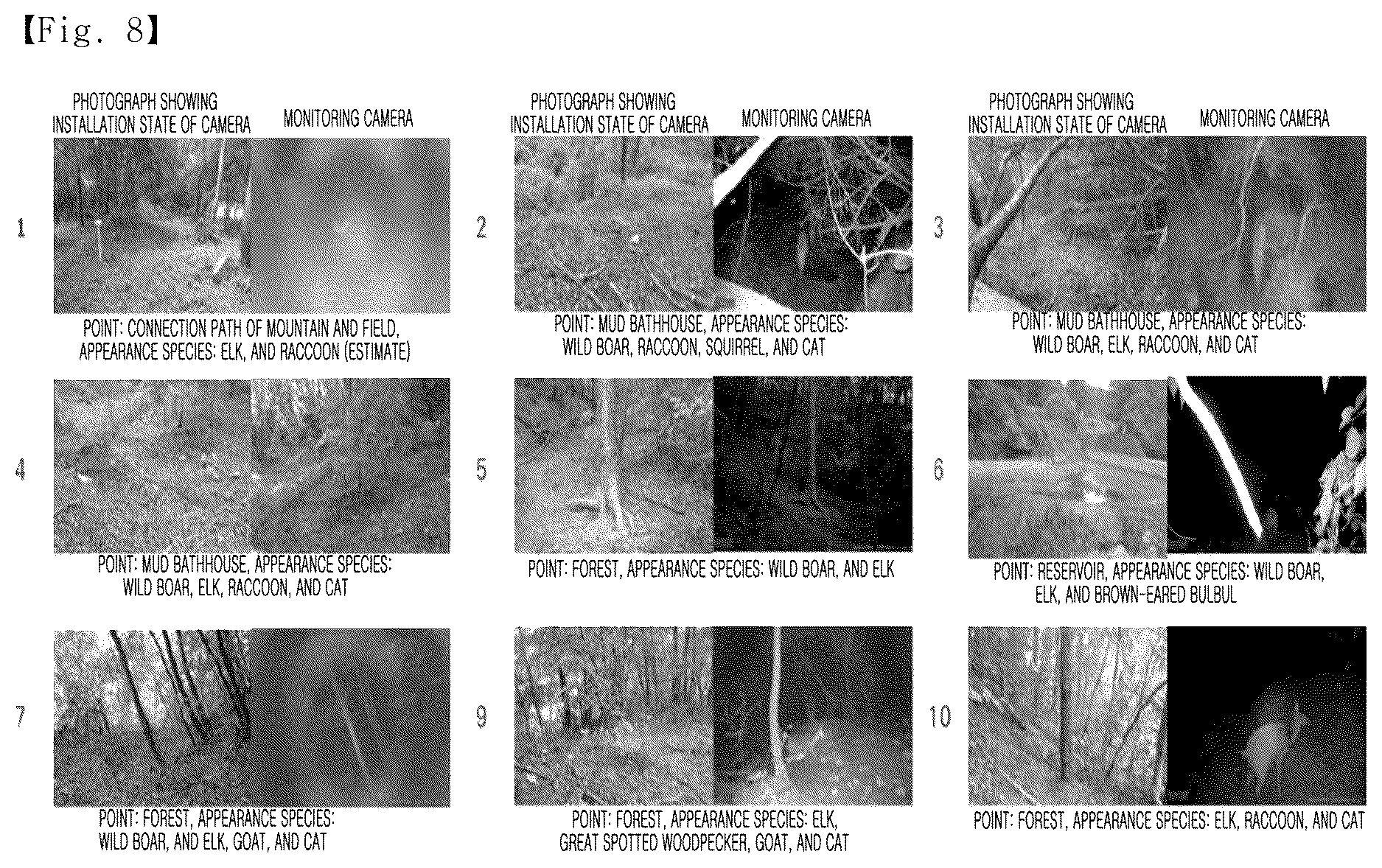 Patent US12610941 Figure 9 – Guided fence installation area derivation system through analysis of vulnerability to harmful birds and animals, and guided fence installation area derivation method using same