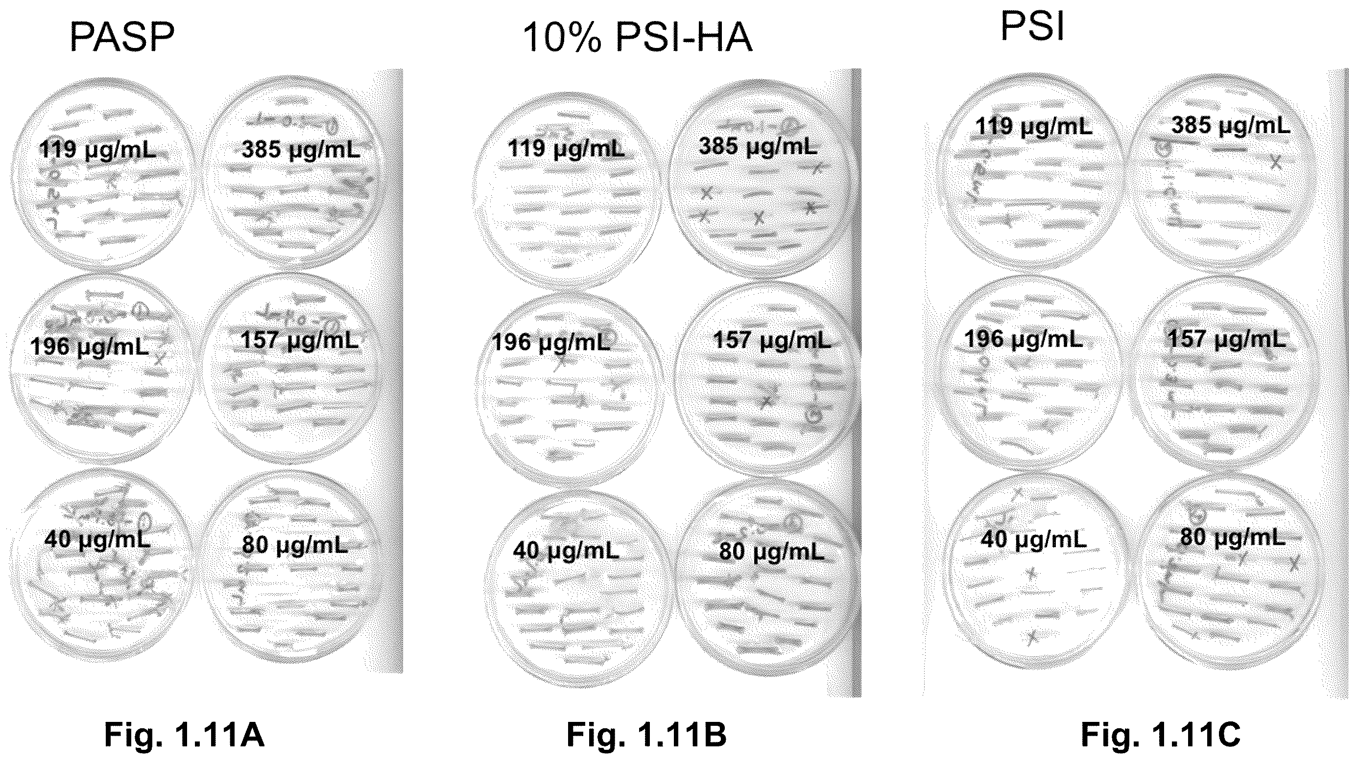 Patent US12610945 Figure 10 – Stimuli-responsive polymeric nanoparticles, methods of making stimuli-responsive polymeric nanoparticles, and methods of using stimuli-responsive polymeric nanoparticles