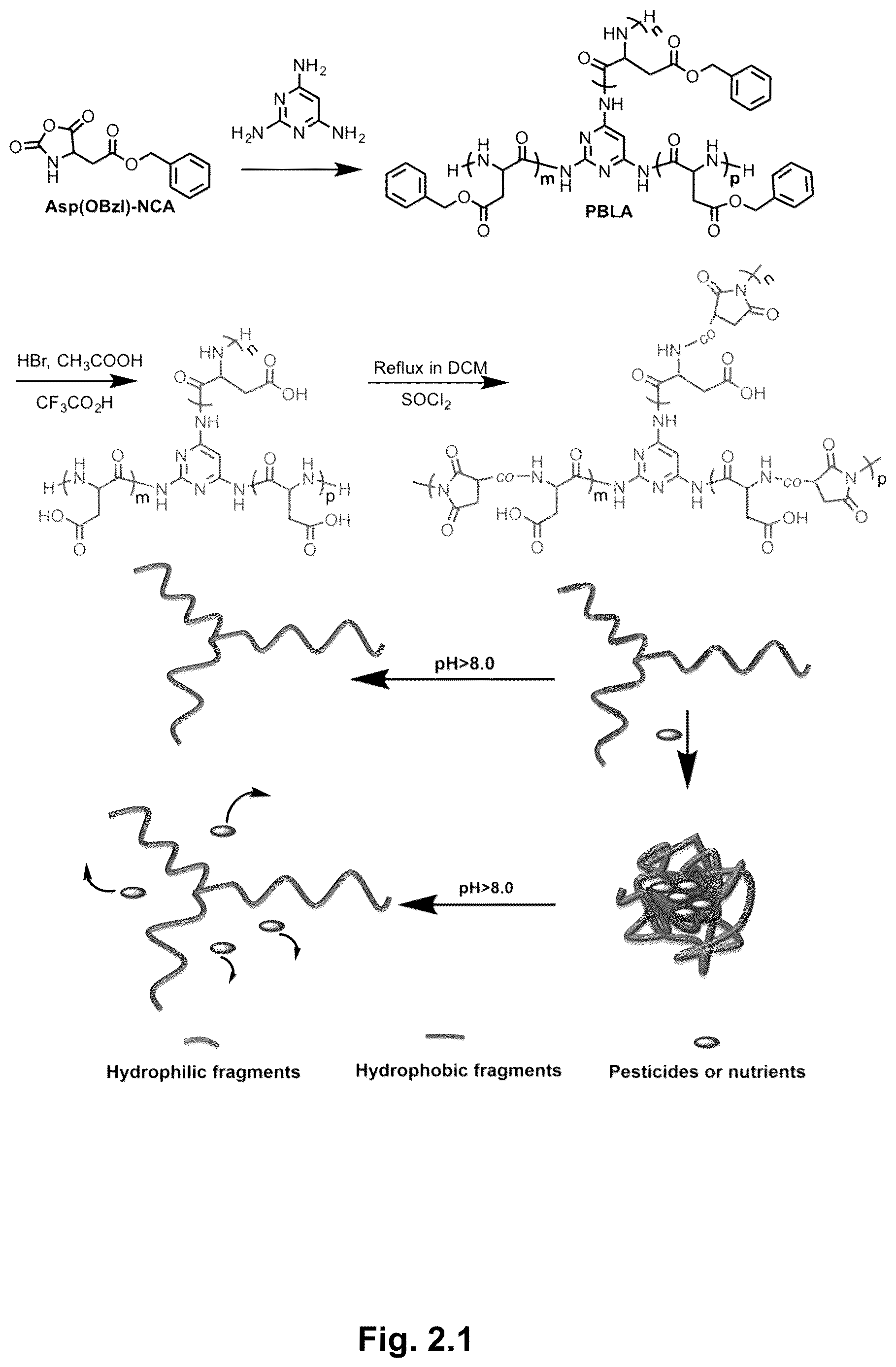 Patent US12610945 Figure 12 – Stimuli-responsive polymeric nanoparticles, methods of making stimuli-responsive polymeric nanoparticles, and methods of using stimuli-responsive polymeric nanoparticles