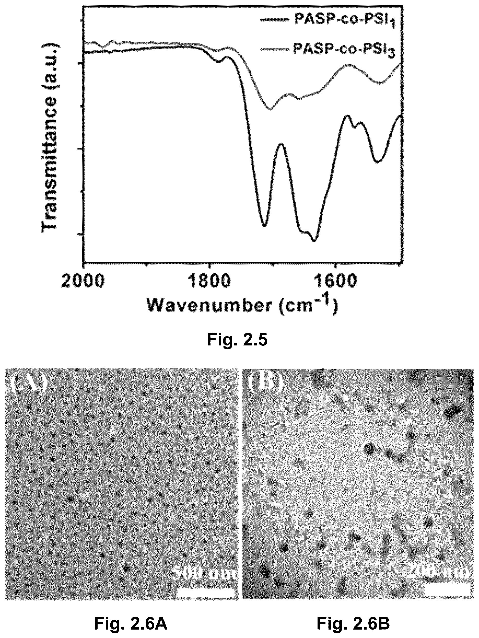 Patent US12610945 Figure 16 – Stimuli-responsive polymeric nanoparticles, methods of making stimuli-responsive polymeric nanoparticles, and methods of using stimuli-responsive polymeric nanoparticles