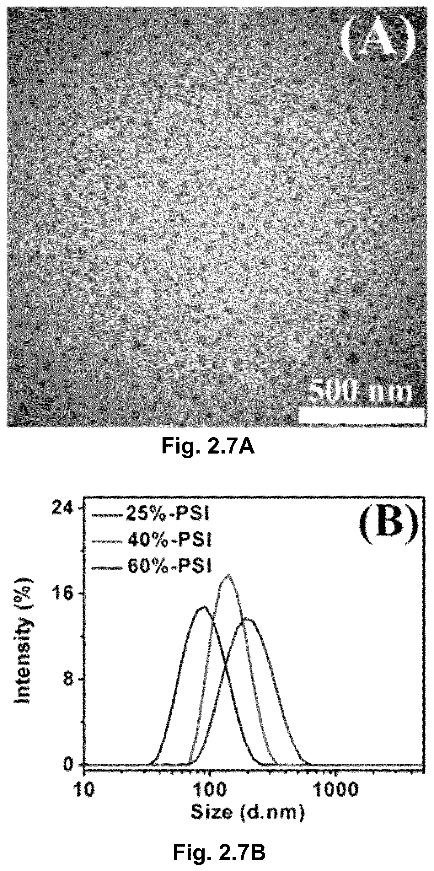 Patent US12610945 Figure 17 – Stimuli-responsive polymeric nanoparticles, methods of making stimuli-responsive polymeric nanoparticles, and methods of using stimuli-responsive polymeric nanoparticles