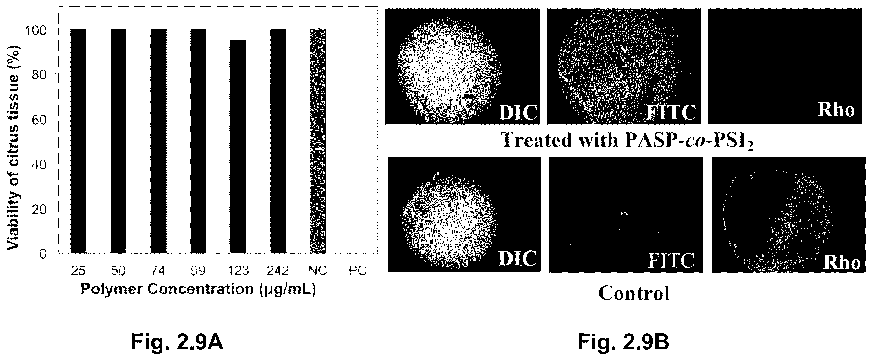 Patent US12610945 Figure 19 – Stimuli-responsive polymeric nanoparticles, methods of making stimuli-responsive polymeric nanoparticles, and methods of using stimuli-responsive polymeric nanoparticles