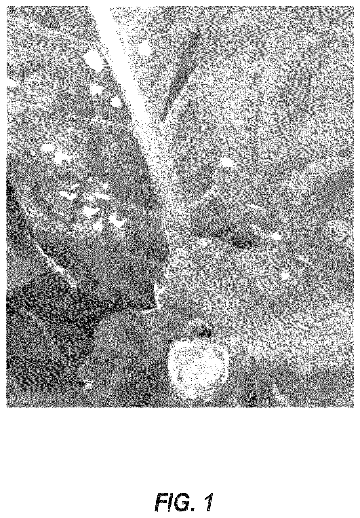 Patent US12610947 Figure 1 – Tobacco axillary bud growth inhibitors and methods of inhibiting growth of tobacco axillary buds