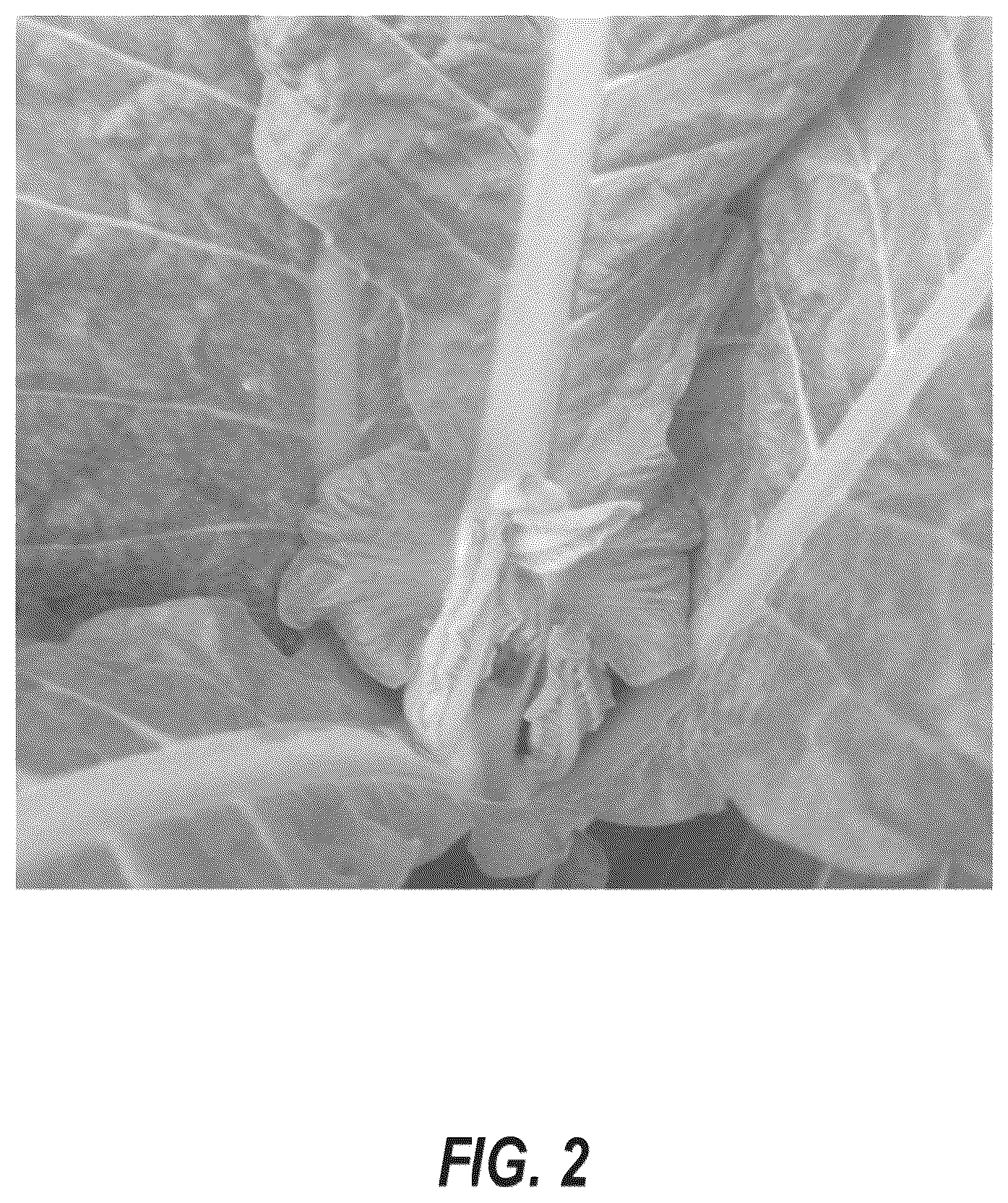 Patent US12610947 Figure 2 – Tobacco axillary bud growth inhibitors and methods of inhibiting growth of tobacco axillary buds
