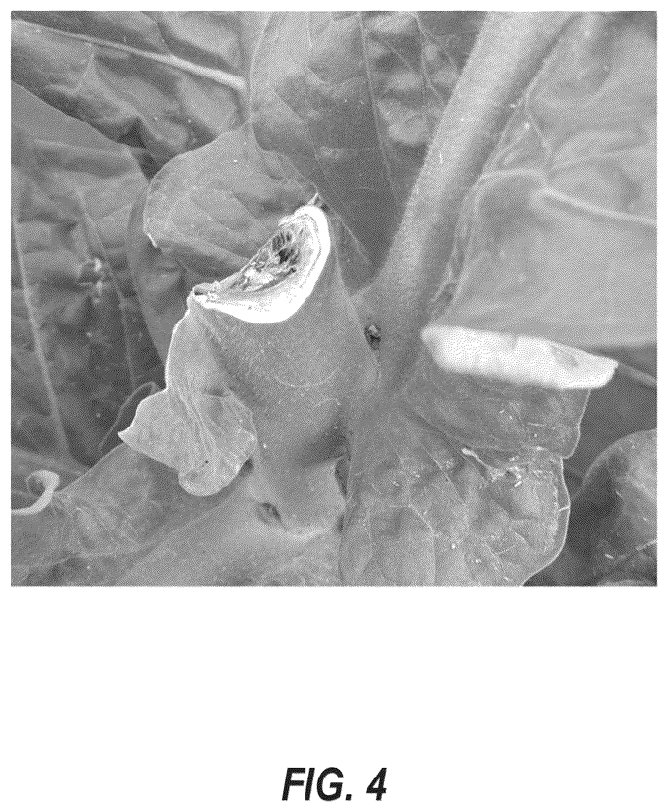 Patent US12610947 Figure 4 – Tobacco axillary bud growth inhibitors and methods of inhibiting growth of tobacco axillary buds