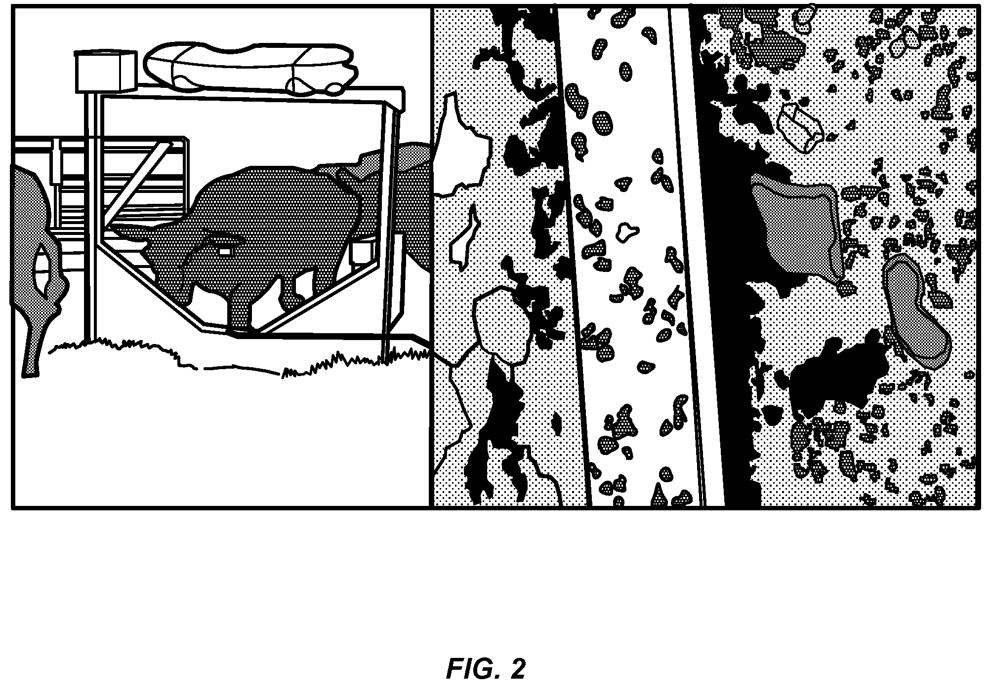 Patent US12610948 Figure 2 – Choline chloride adjuvant for fatty acid based biopesticide