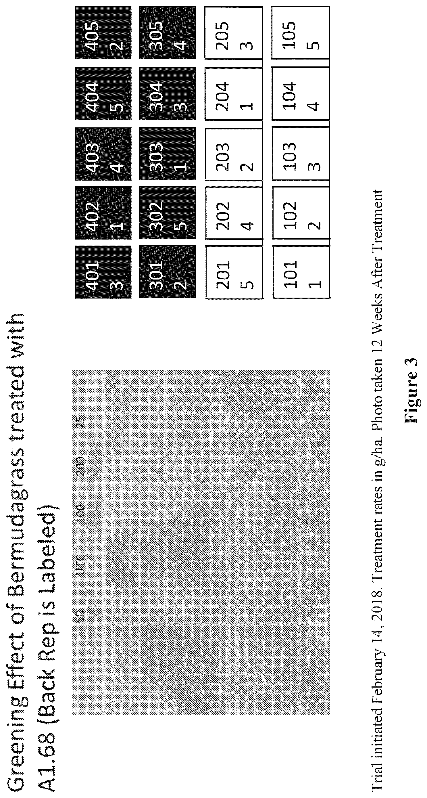 Patent US12610950 Figure 3 – Method for weed control in lawn or turf