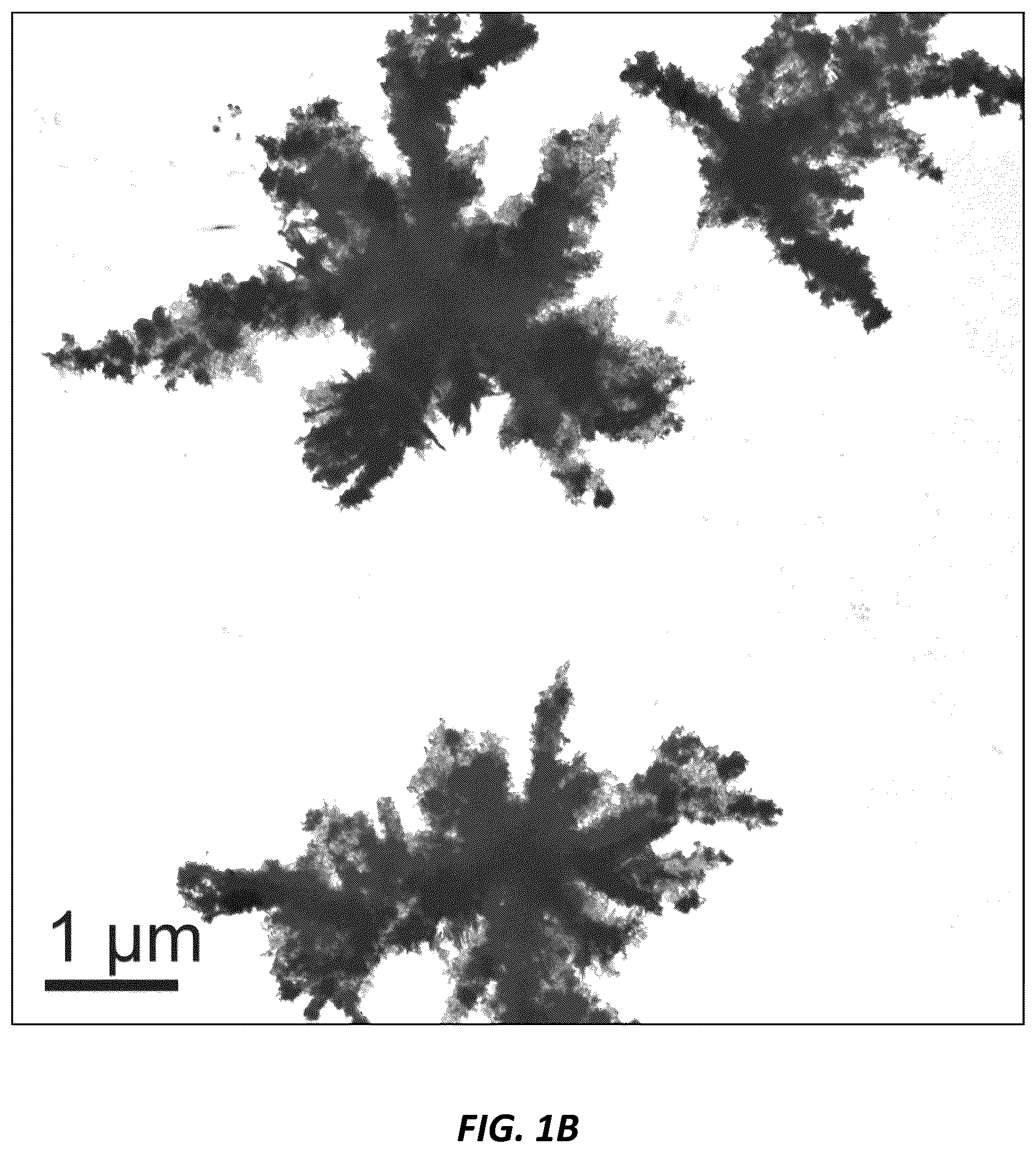 Patent US12610952 Figure 2 – Antimicrobial compositions and methods