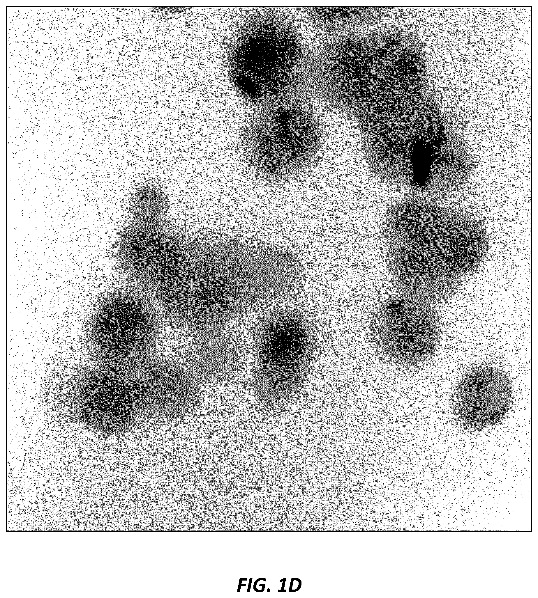 Patent US12610952 Figure 4 – Antimicrobial compositions and methods