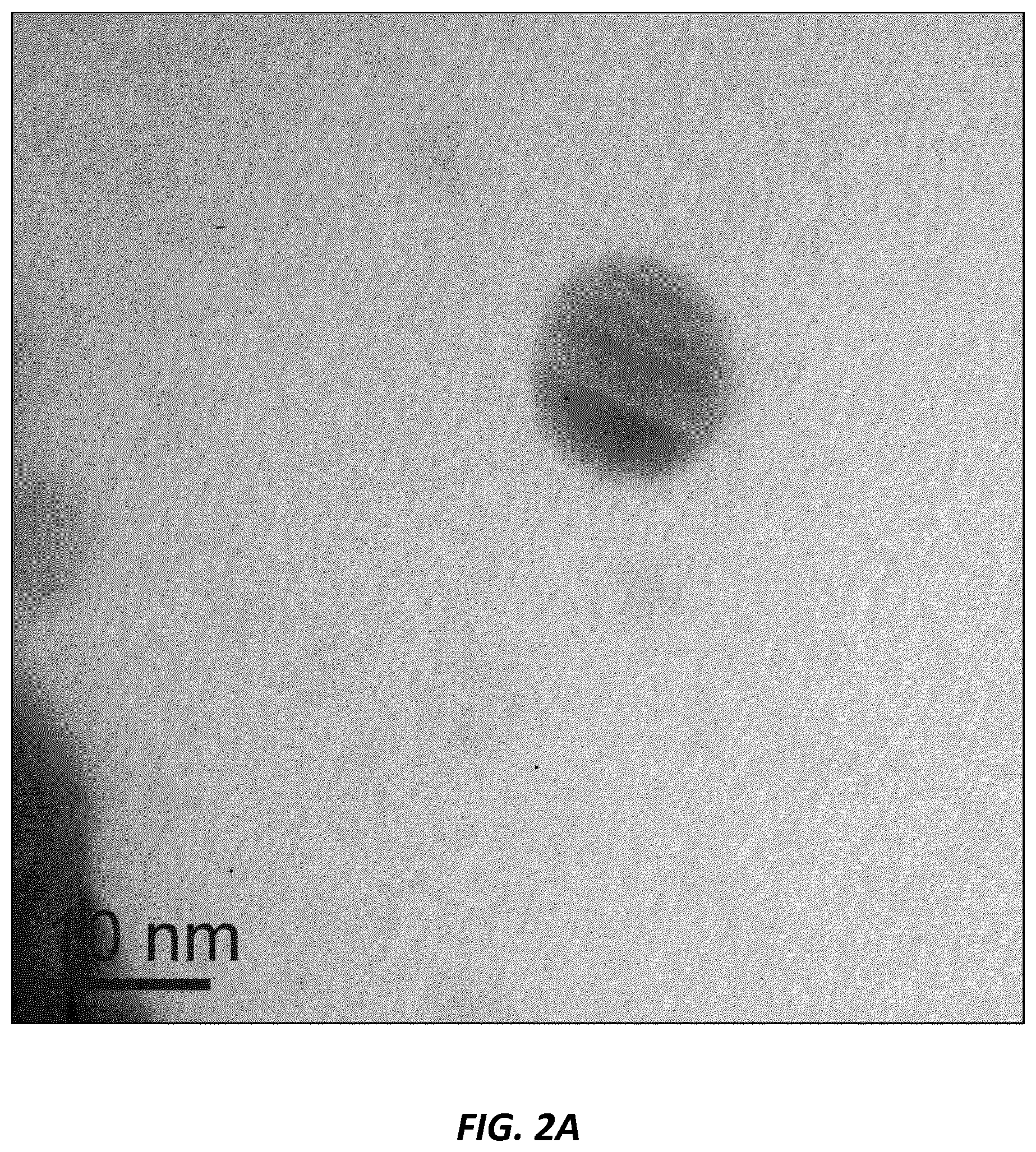 Patent US12610952 Figure 5 – Antimicrobial compositions and methods